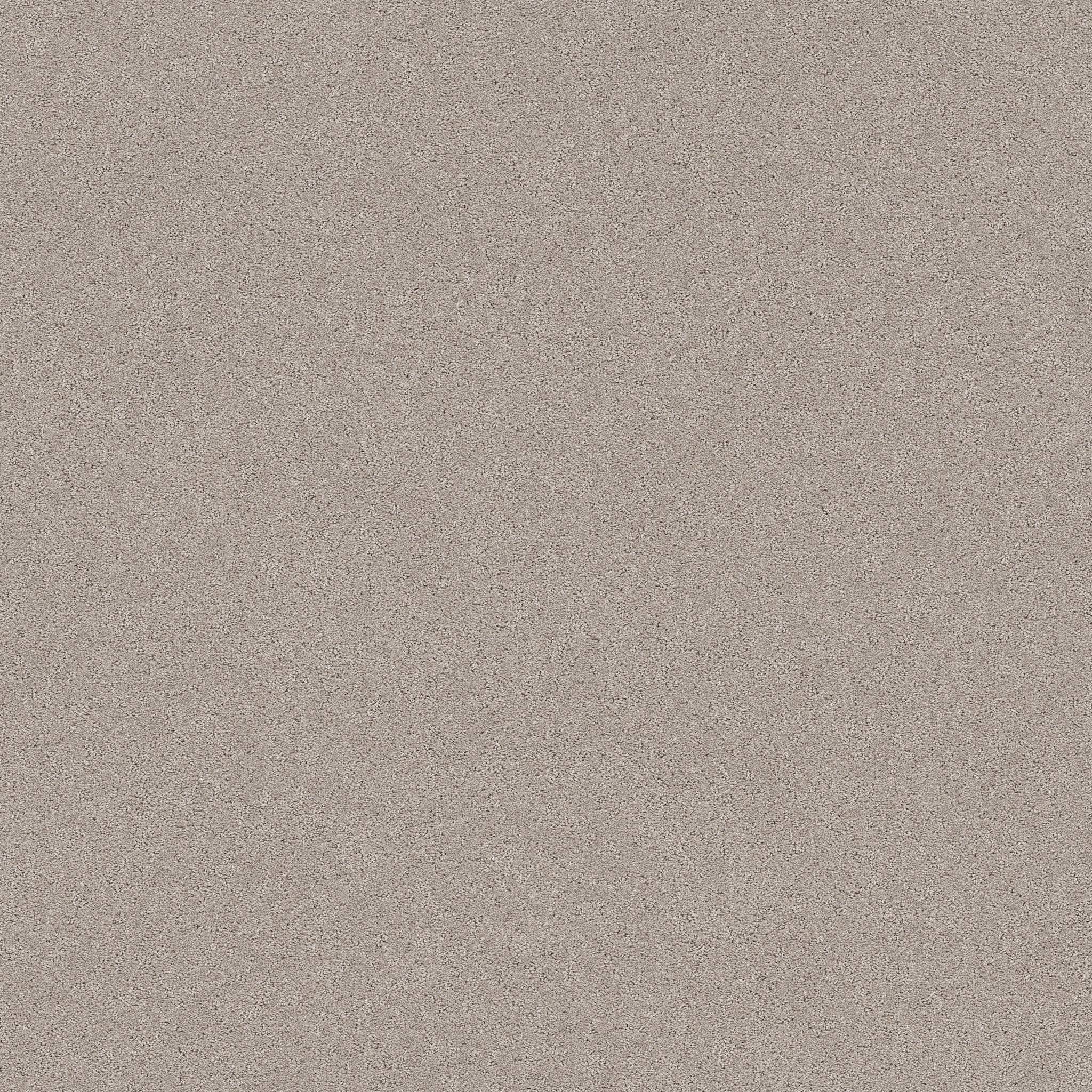 Confidential Quest Carpet - Chic Taupe Zoomed Swatch Image