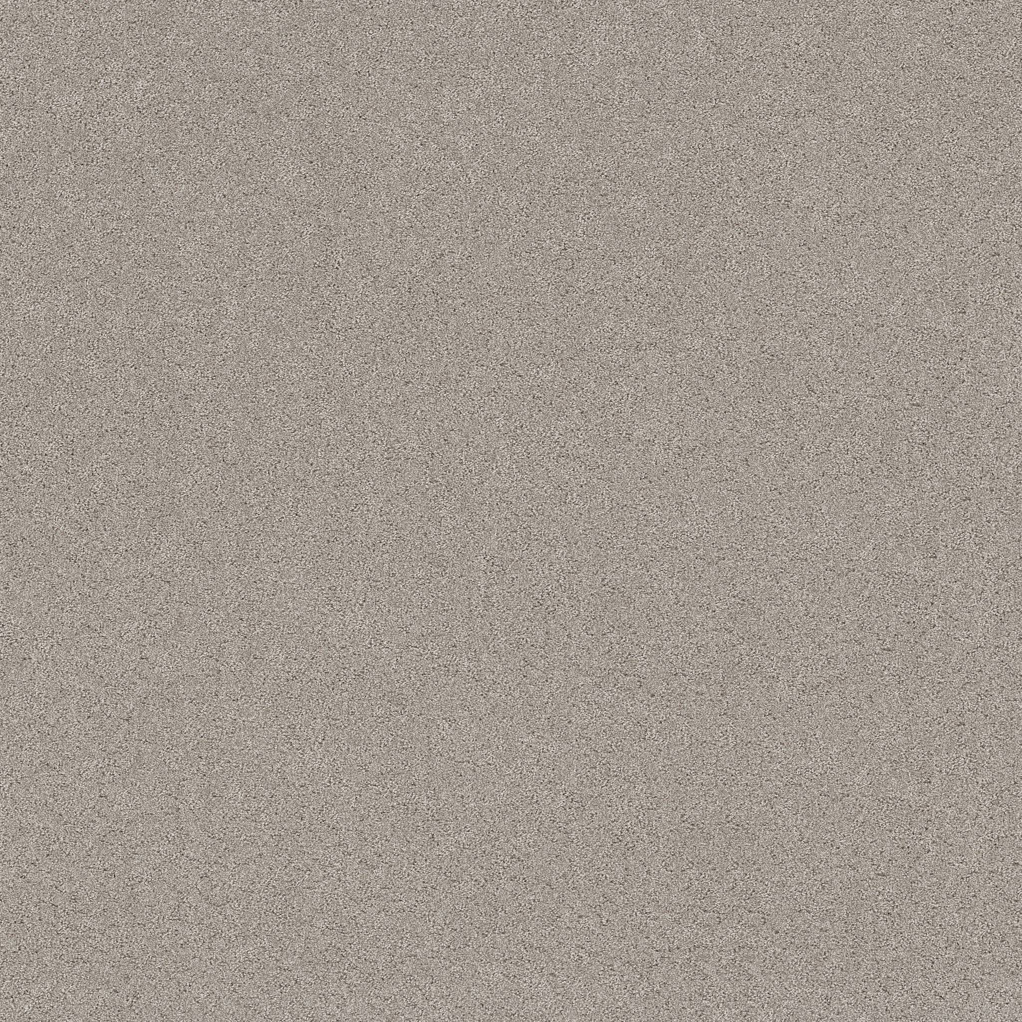 Confidential Quest Carpet - Marble Zoomed Swatch Image