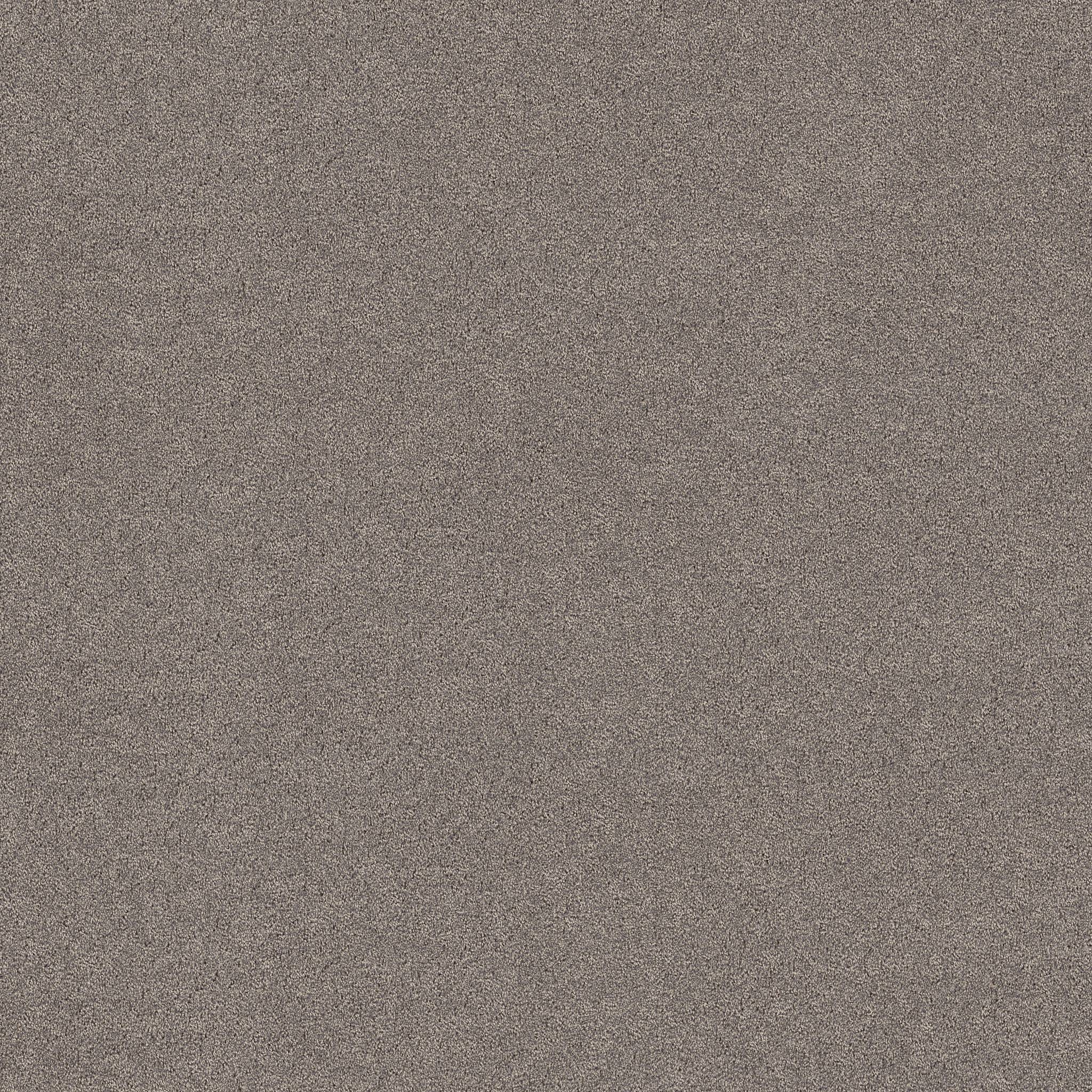 Confidential Quest Carpet - Shadows Zoomed Swatch Image