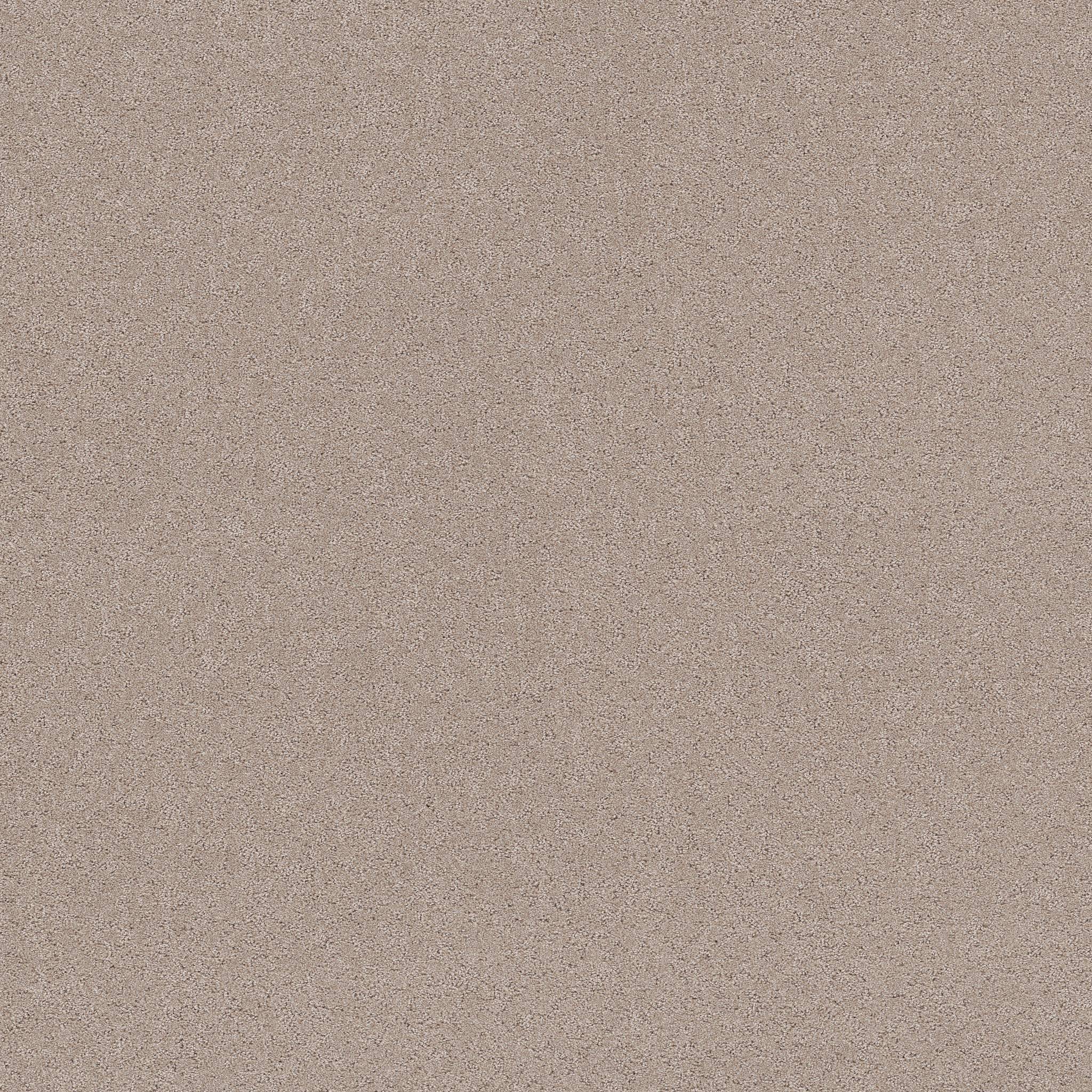 Confidential Quest Carpet - Baja Zoomed Swatch Image