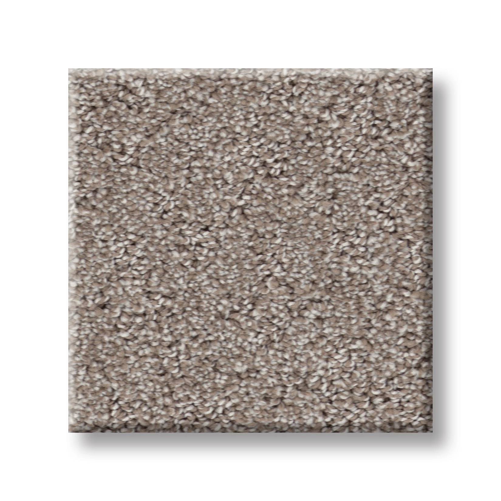 Confidential Quest Carpet - Mocha Swatch Thumbnail pupop1