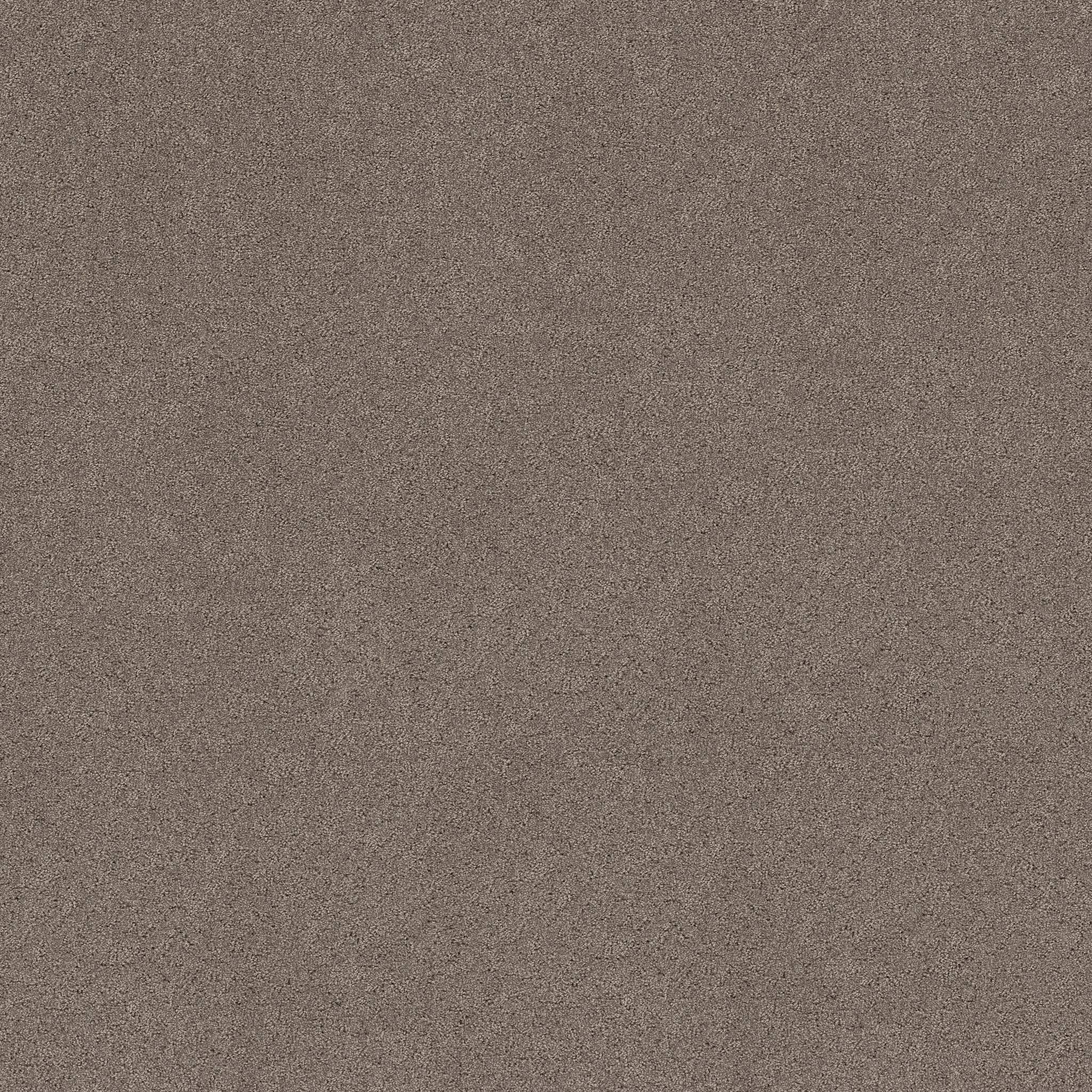Confidential Quest Carpet - Hideaway Zoomed Swatch Image
