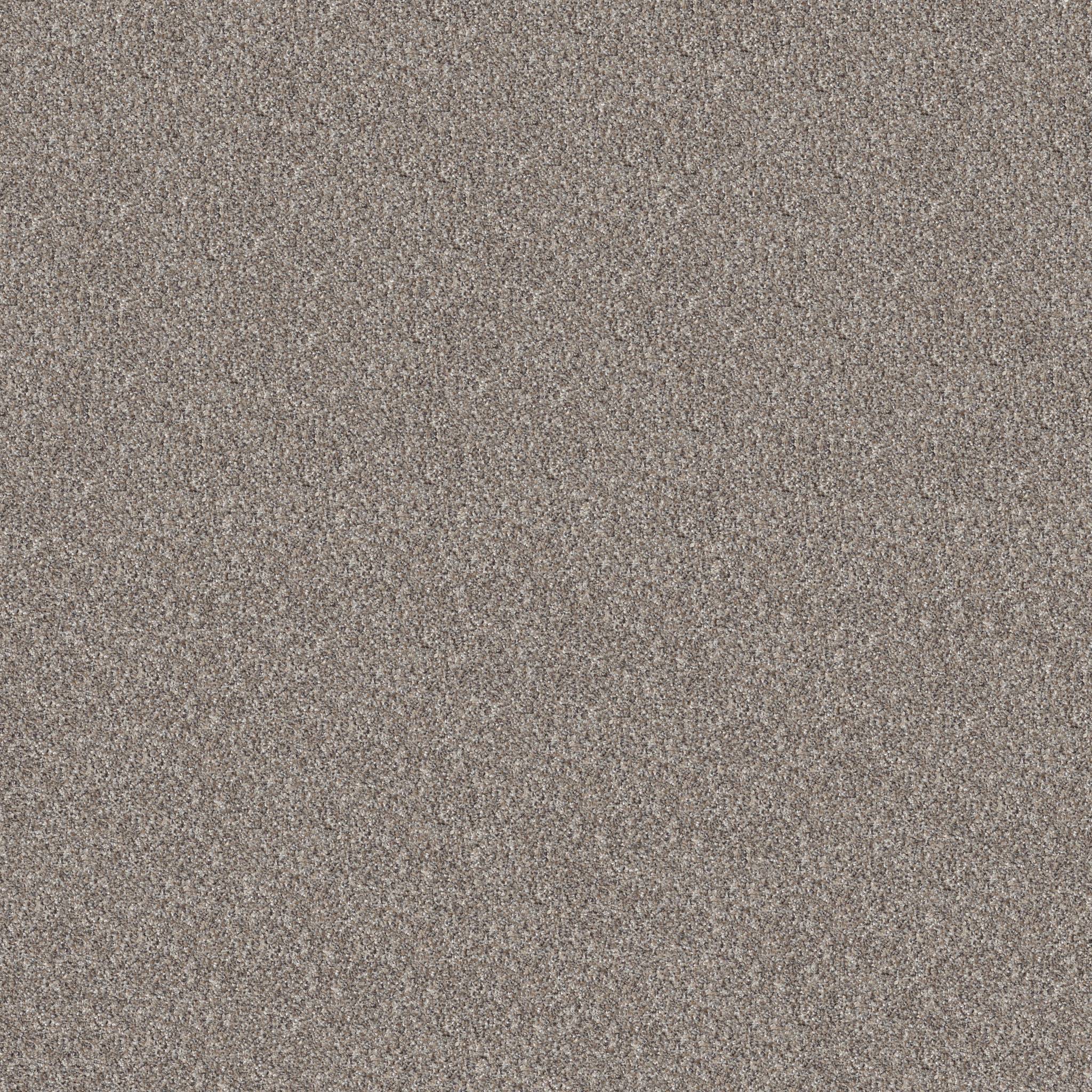 Pure Vision Carpet - Perfection Zoomed Swatch Image
