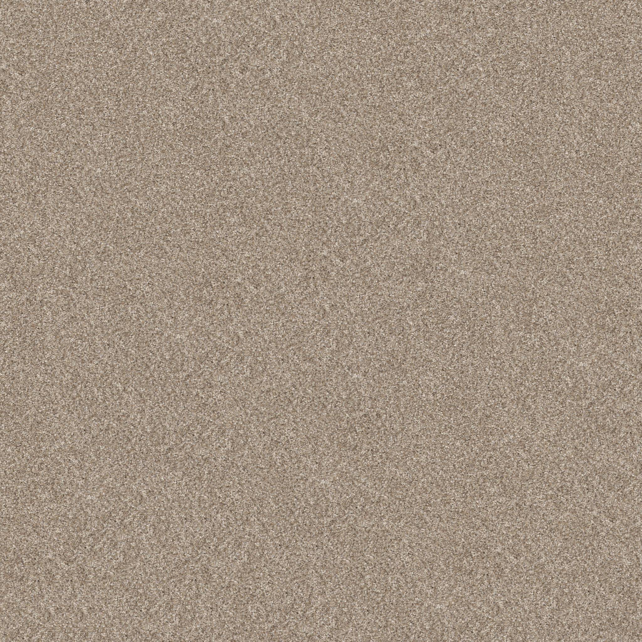 Pure Vision Carpet - Soft Sand Zoomed Swatch Image