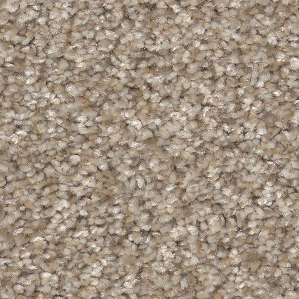 Pure Vision Carpet - Soft Sand  Swatch Image 