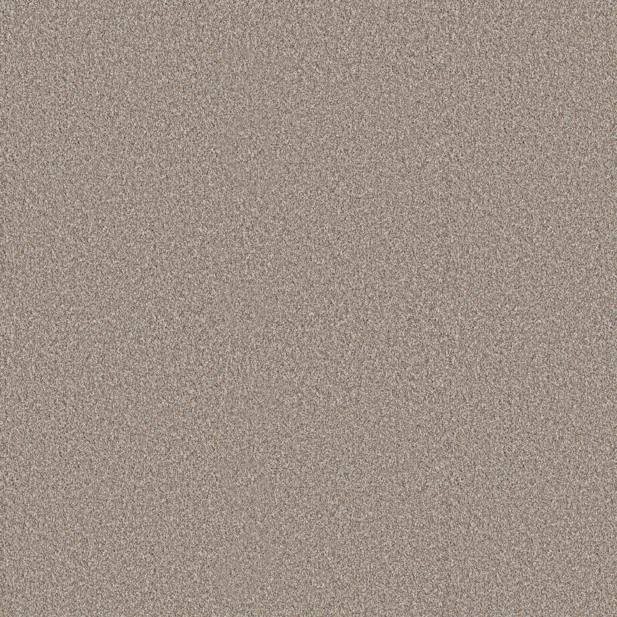 Pure Vision Carpet - Dawn Beige Zoomed Swatch Image