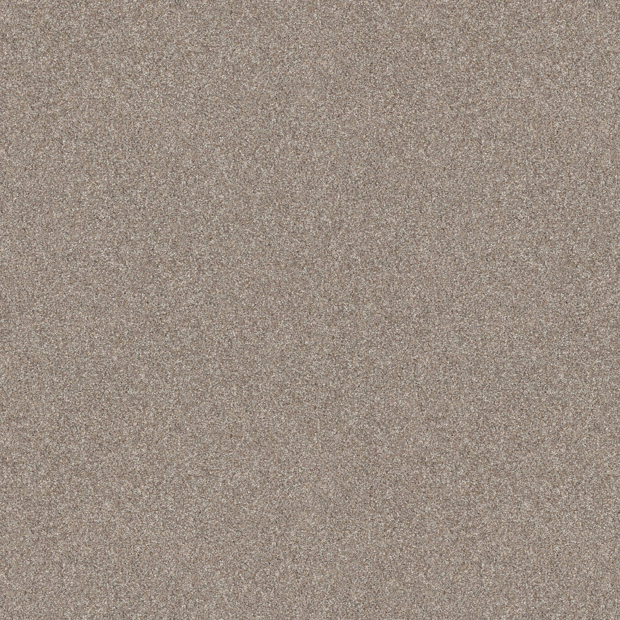 Pure Vision Carpet - Mushroom Zoomed Swatch Image