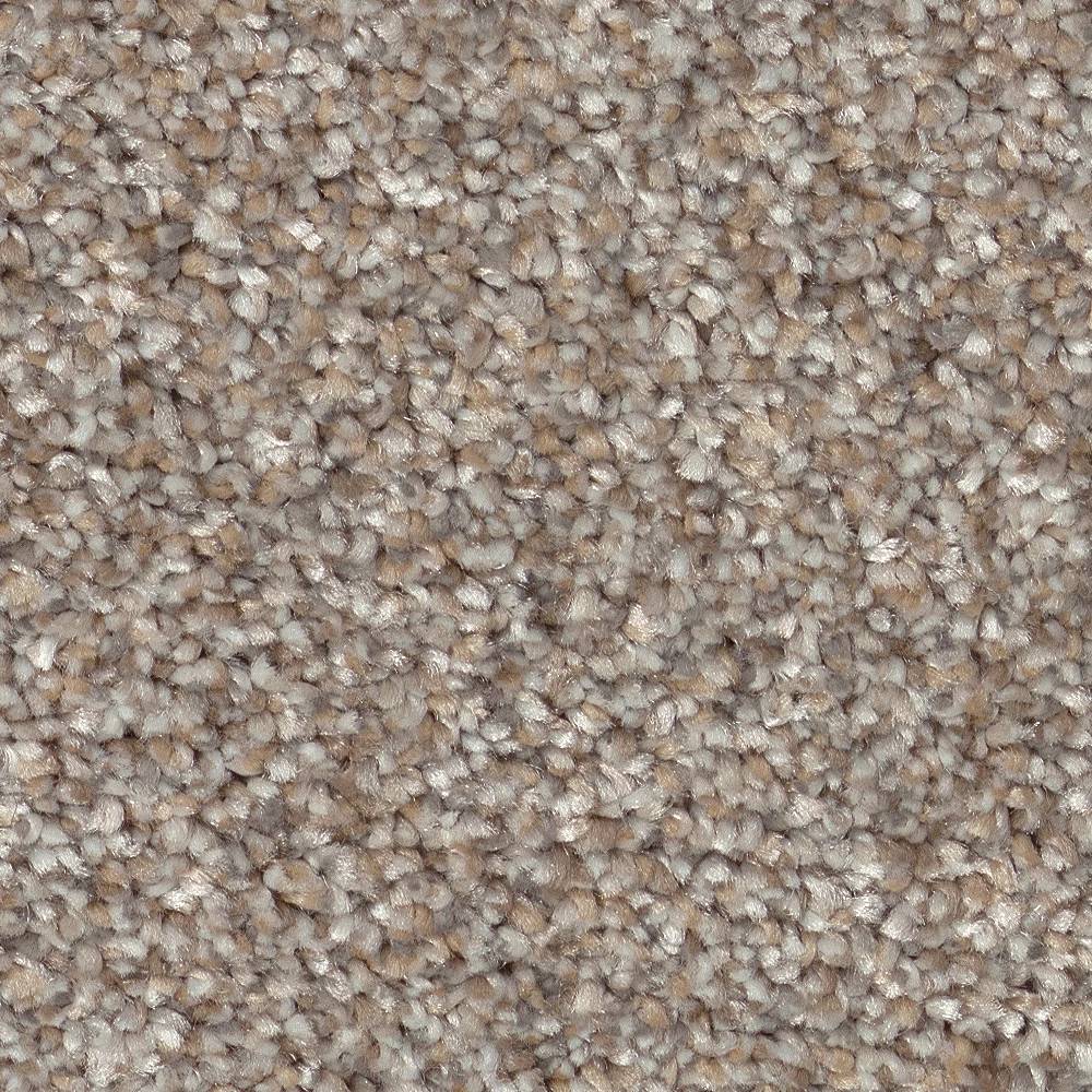 Pure Vision Carpet - Mushroom Swatch Thumbnail pupop1