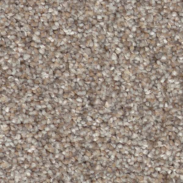 Style Pure Vision Carpet - Mushroom Swatch