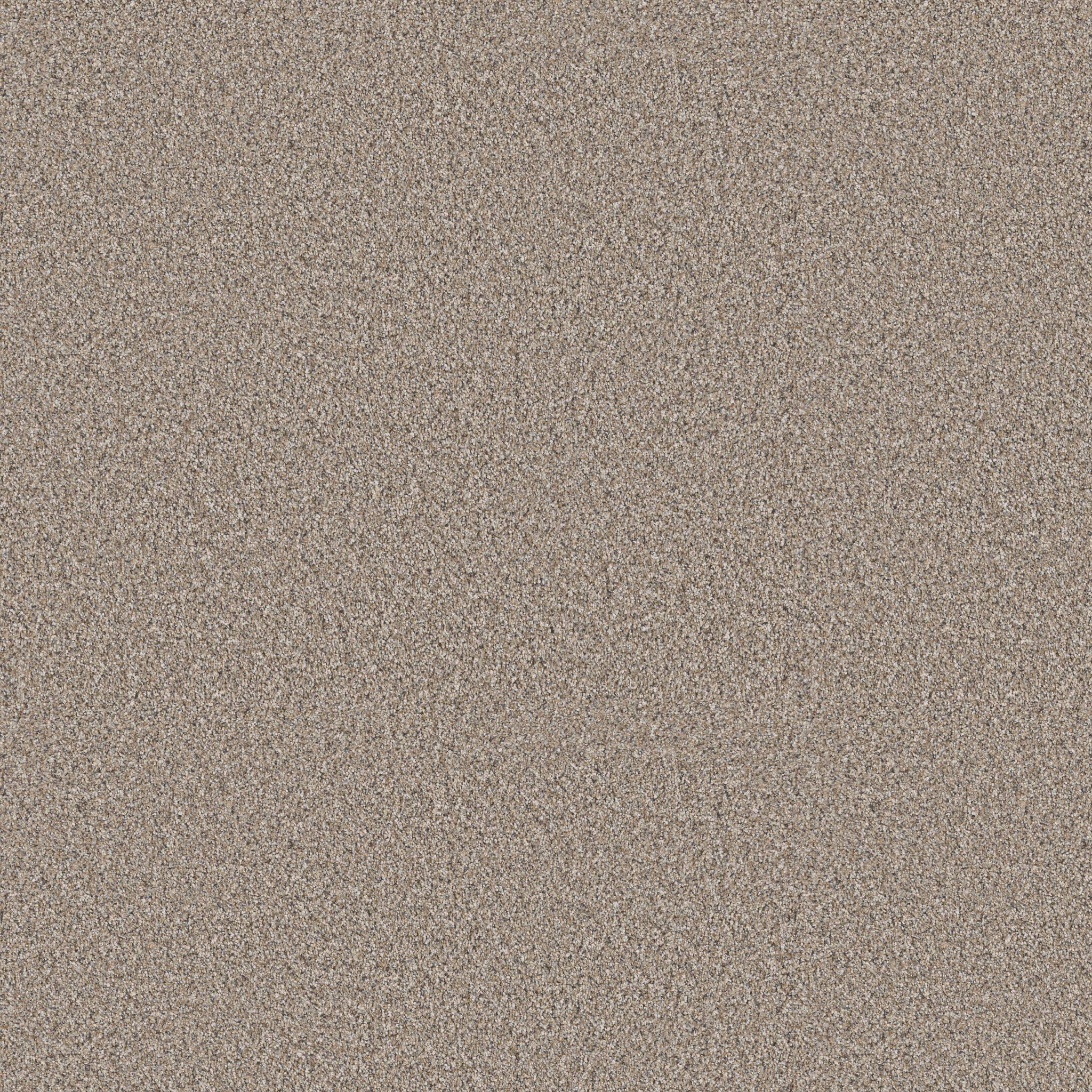 Pure Vision Carpet - Nutria Zoomed Swatch Image