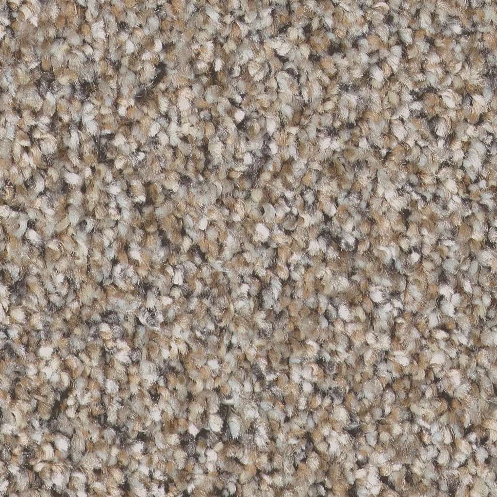 Pure Vision Carpet - Nutria  Swatch Image 