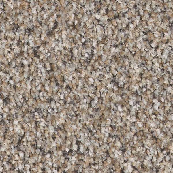 Style Pure Vision Carpet - Nutria Swatch