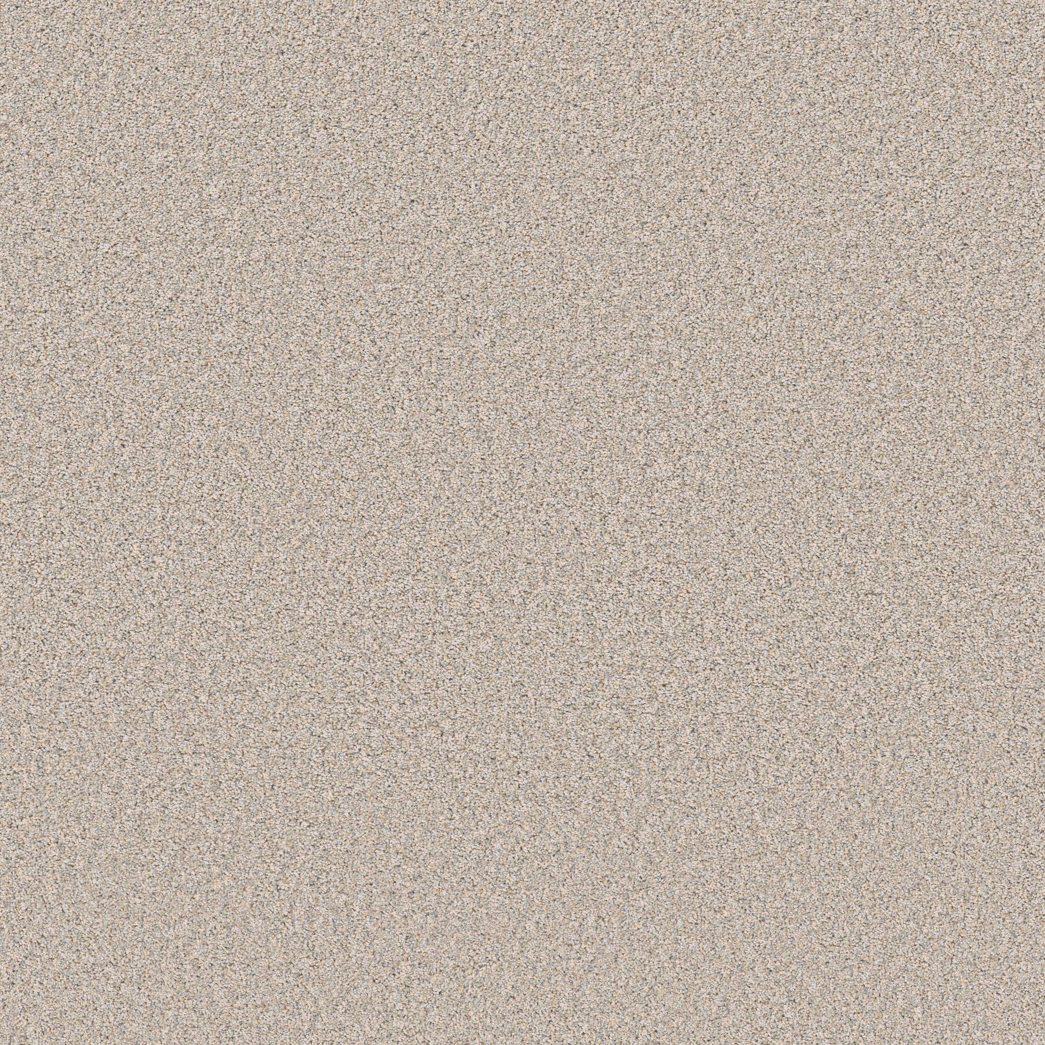 Pure Vision Carpet - Nuance Zoomed Swatch Image