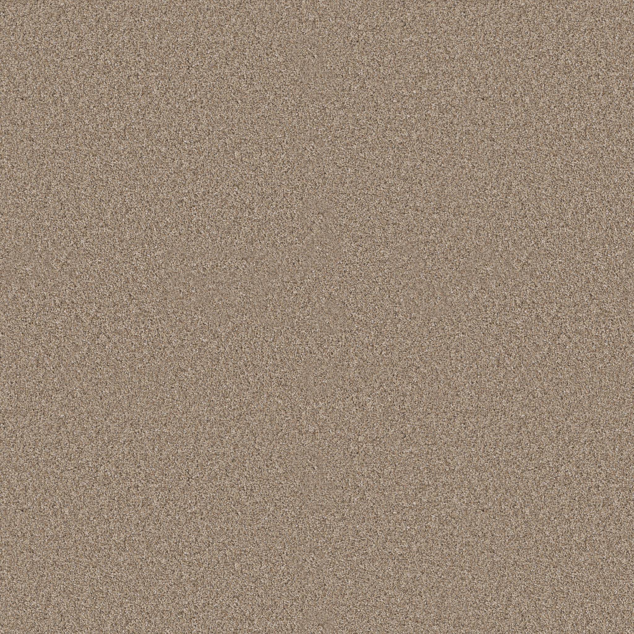 Pure Vision Carpet - Summer Straw Zoomed Swatch Image