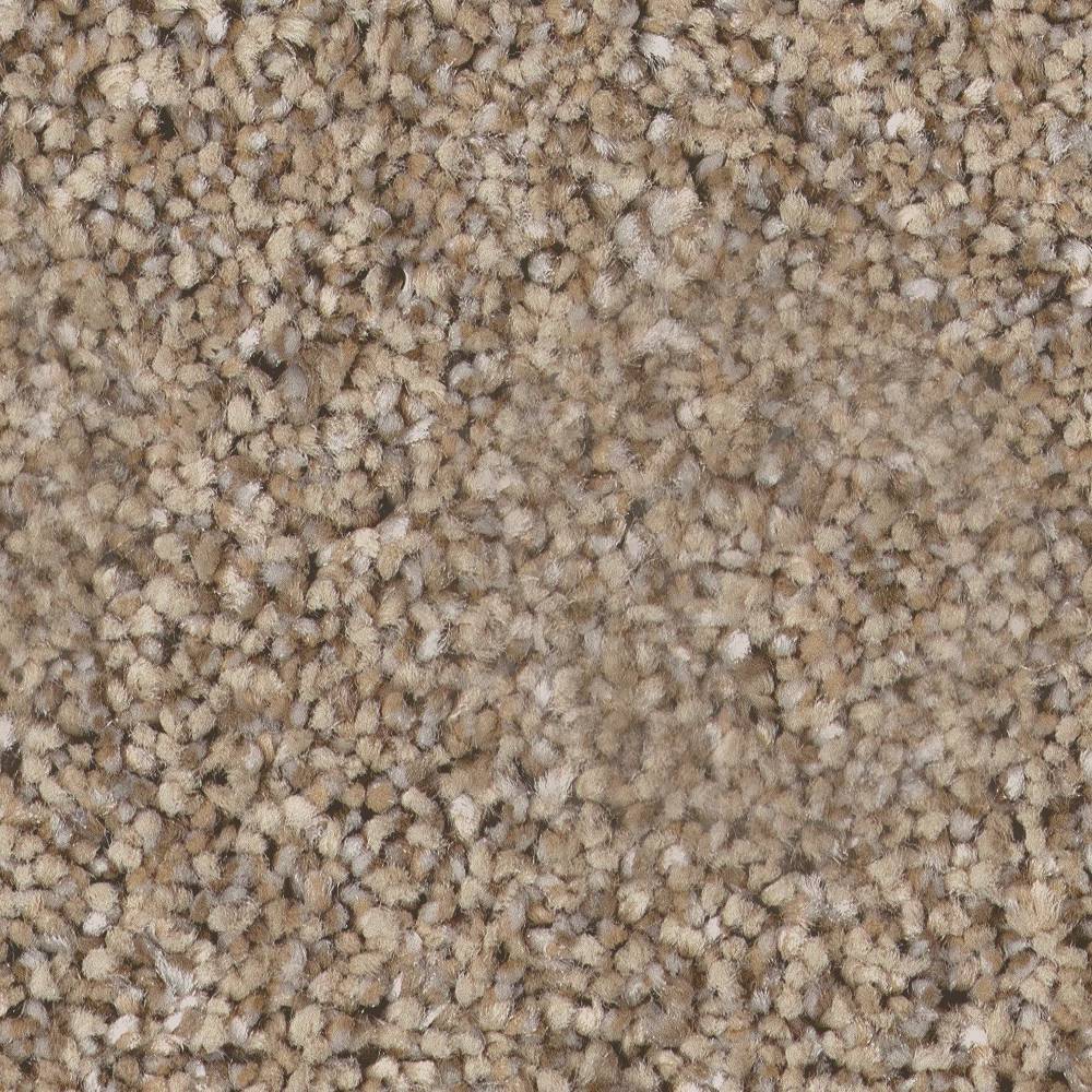 Pure Vision Carpet - Summer Straw Swatch Thumbnail pupop1