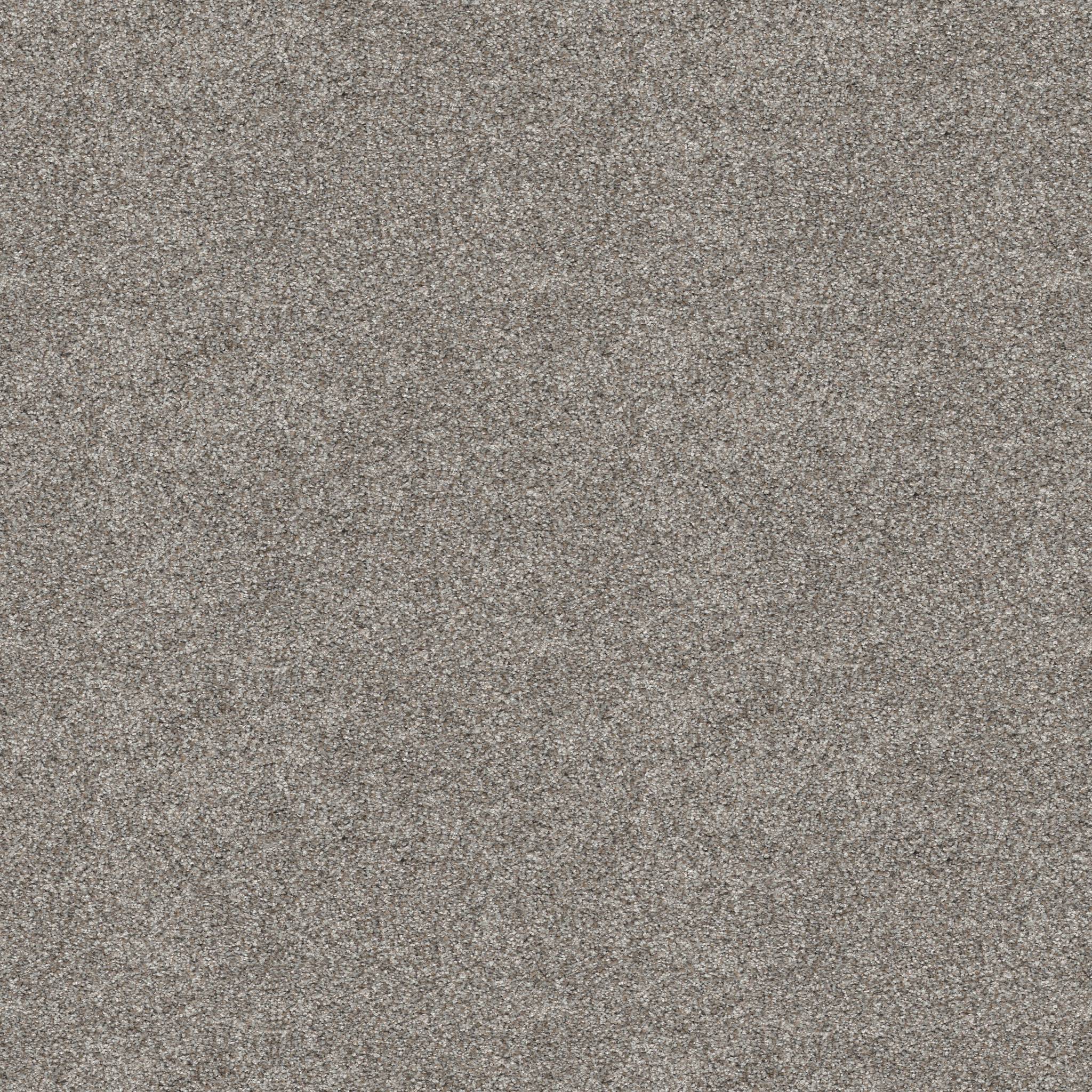 Pure Vision Carpet - River Rock Zoomed Swatch Image