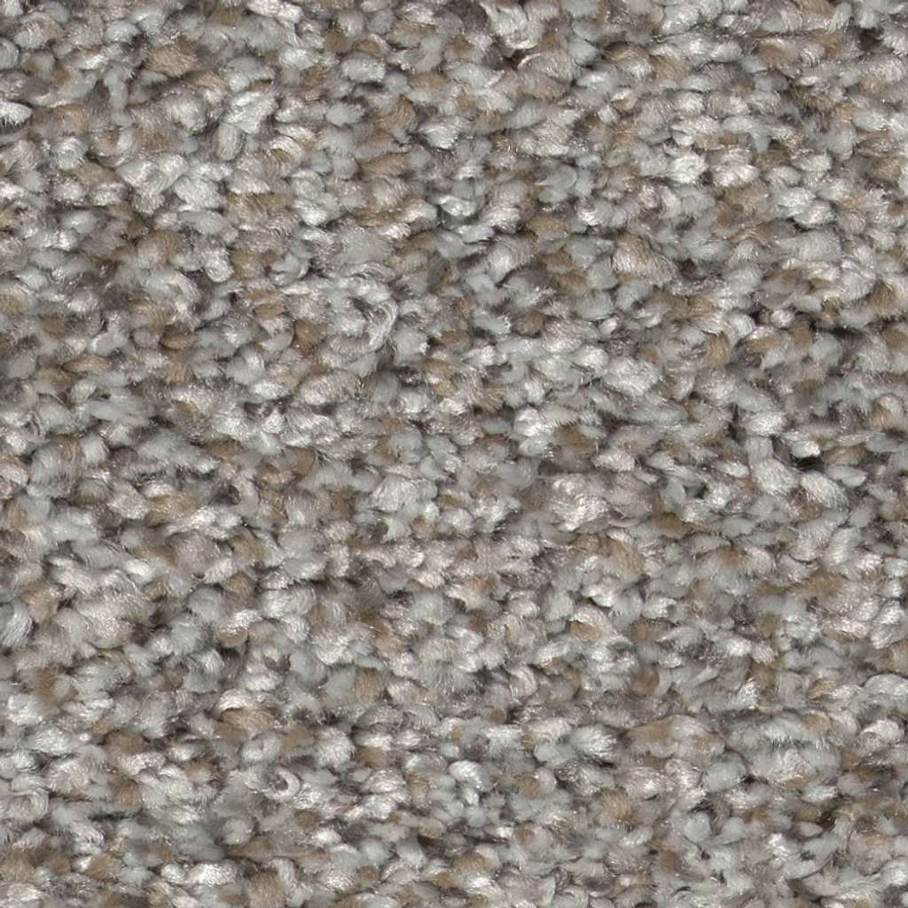 Pure Vision Carpet - River Rock  Swatch Image 