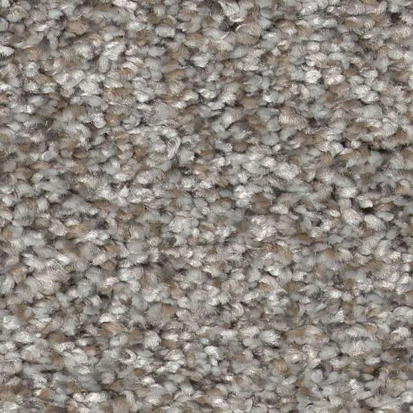 Style Pure Vision Carpet - River Rock Swatch