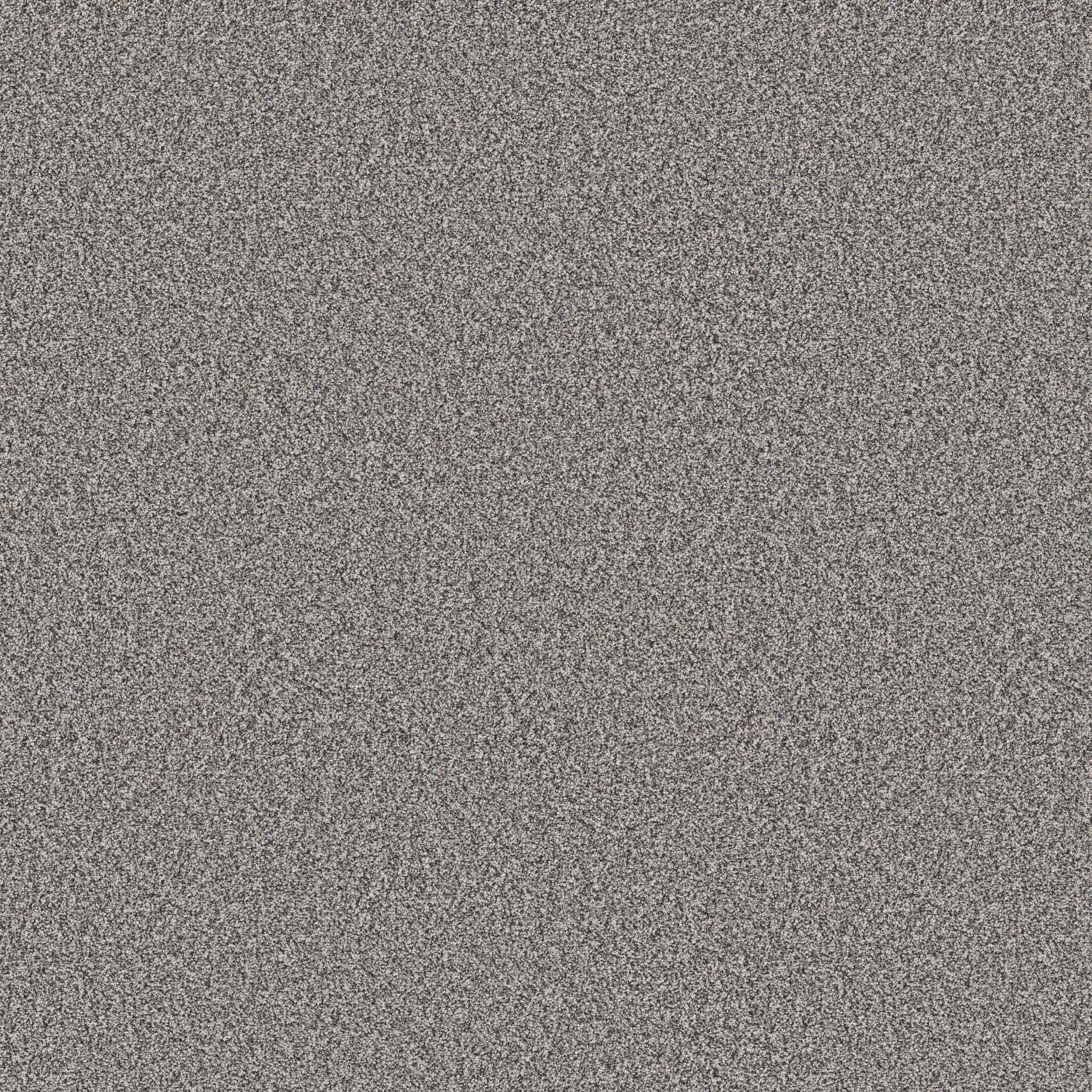 Pure Vision Carpet - London Fog Zoomed Swatch Image