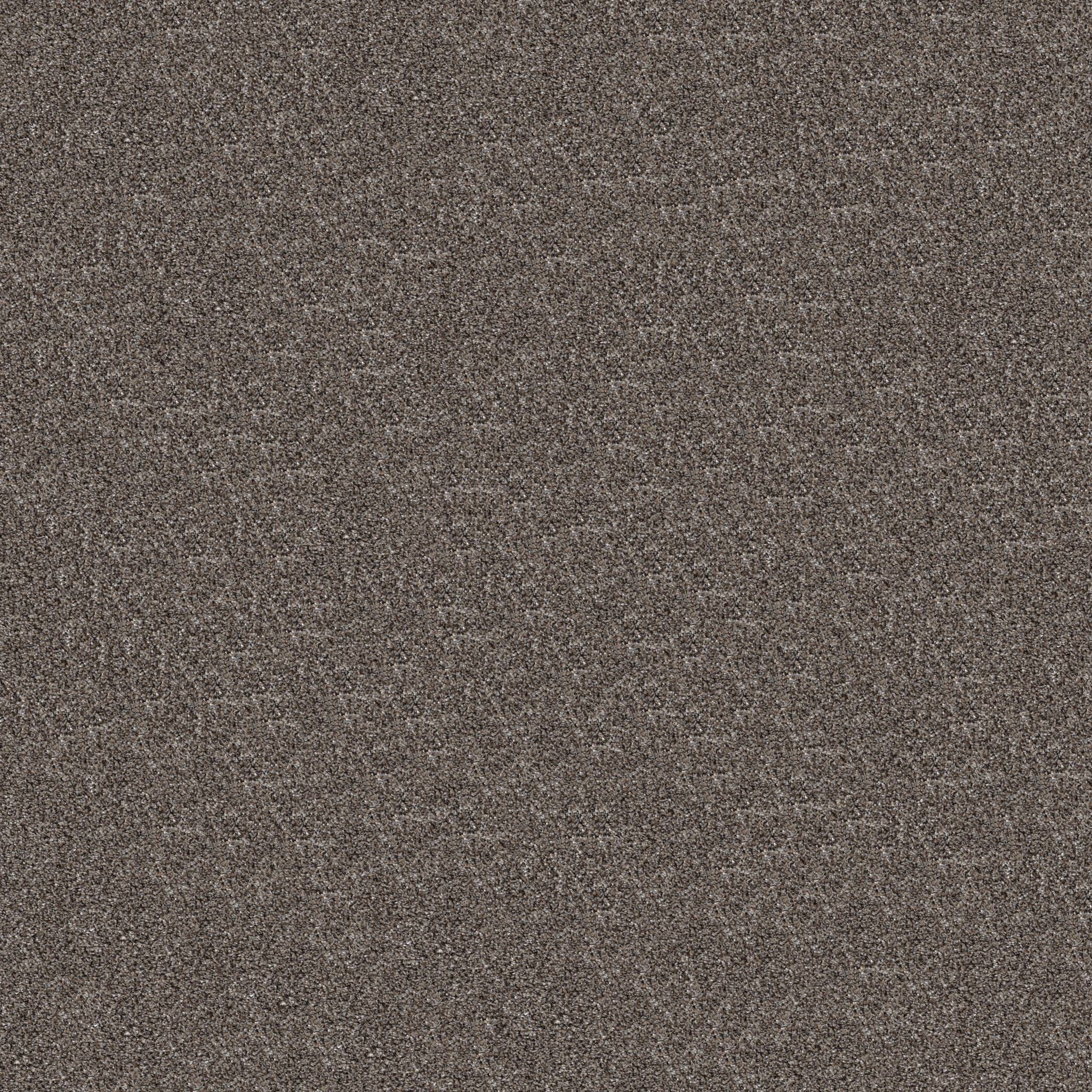 Pure Vision Carpet - Flint Zoomed Swatch Image
