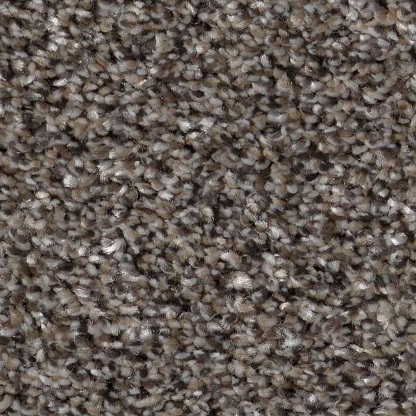 Style Pure Vision Carpet - Flint Swatch