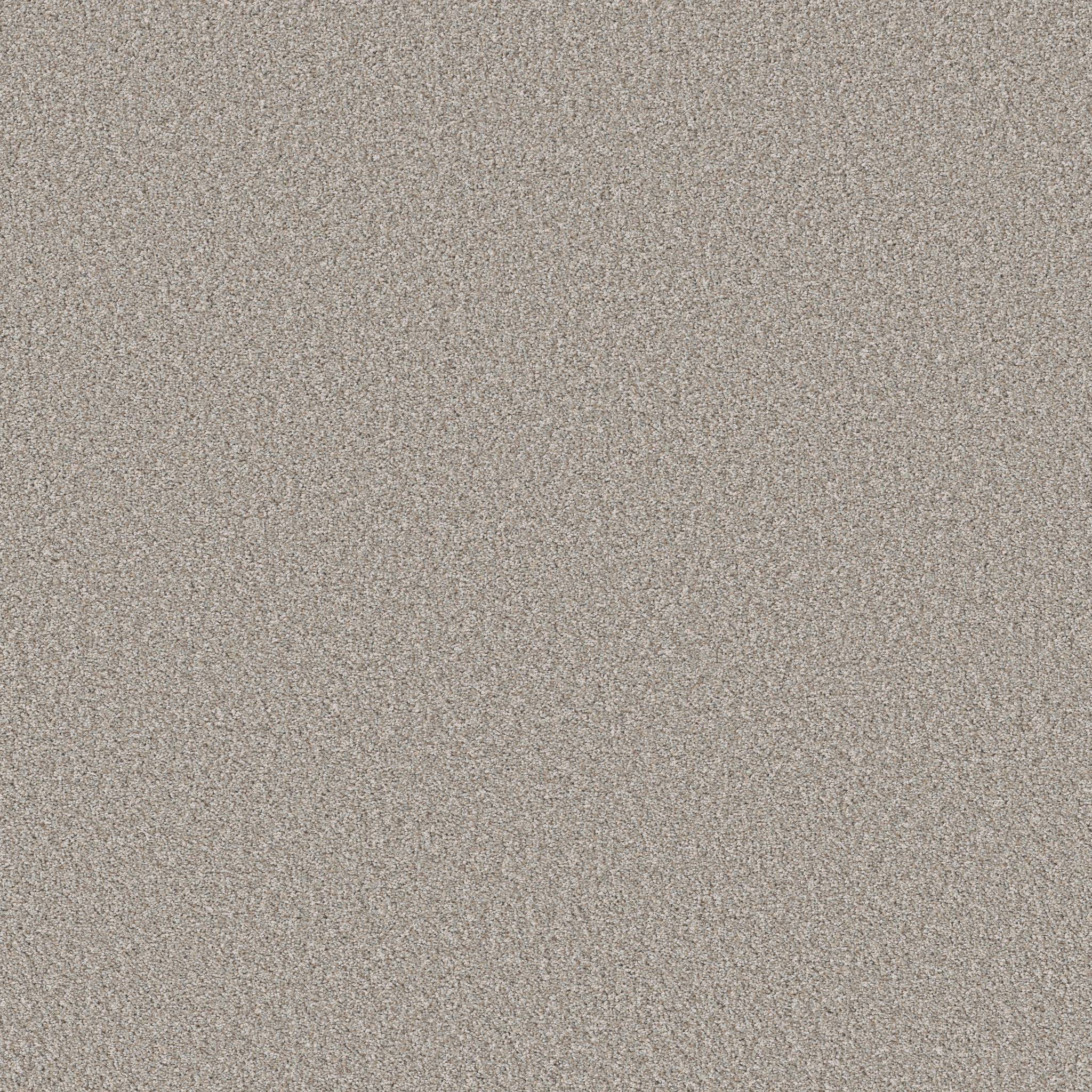 Pure Vision Carpet - Silver Mist Zoomed Swatch Image