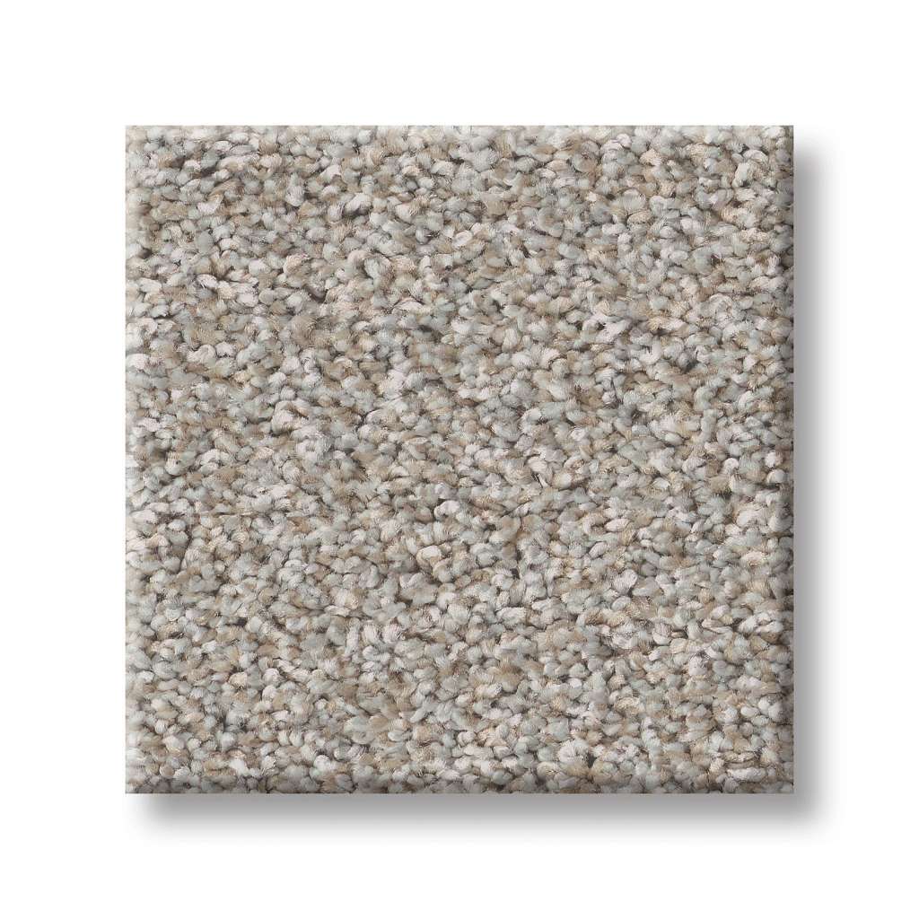 Pure Vision Carpet - Silver Mist  Swatch Image 