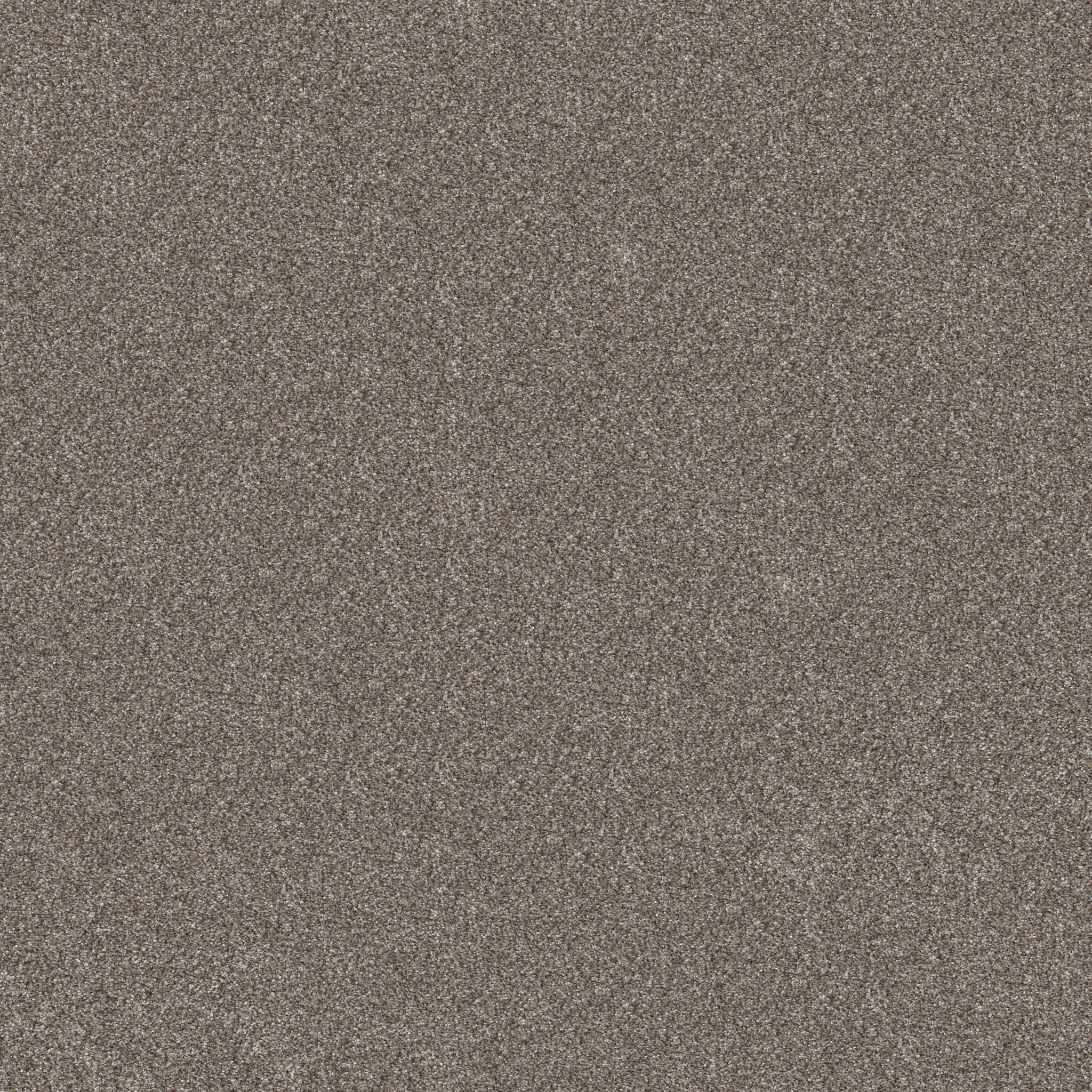 Pure Vision Carpet - Coffee Zoomed Swatch Image