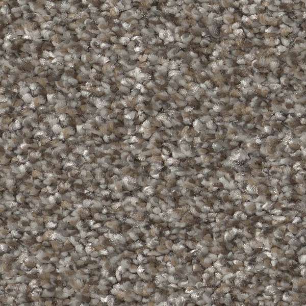 Style Pure Vision Carpet - Coffee Swatch