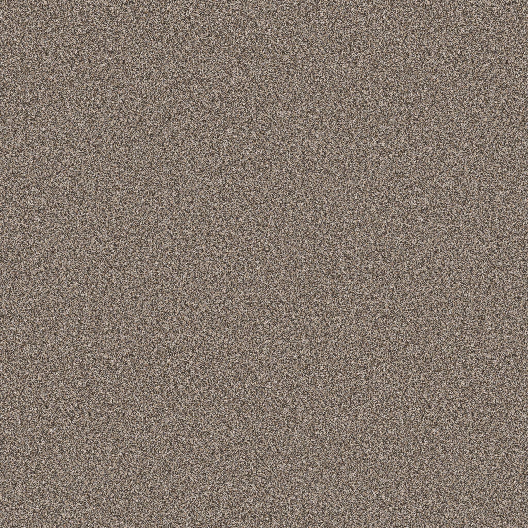 Pure Vision Carpet - Prairie Zoomed Swatch Image