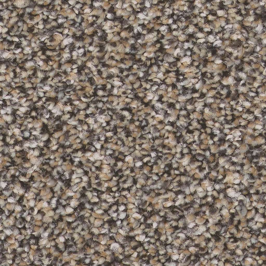 Pure Vision Carpet - Prairie  Swatch Image 