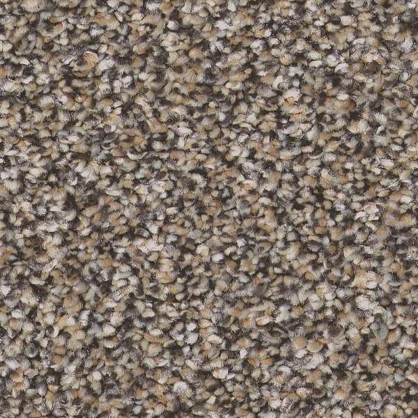 Style Pure Vision Carpet - Prairie Swatch