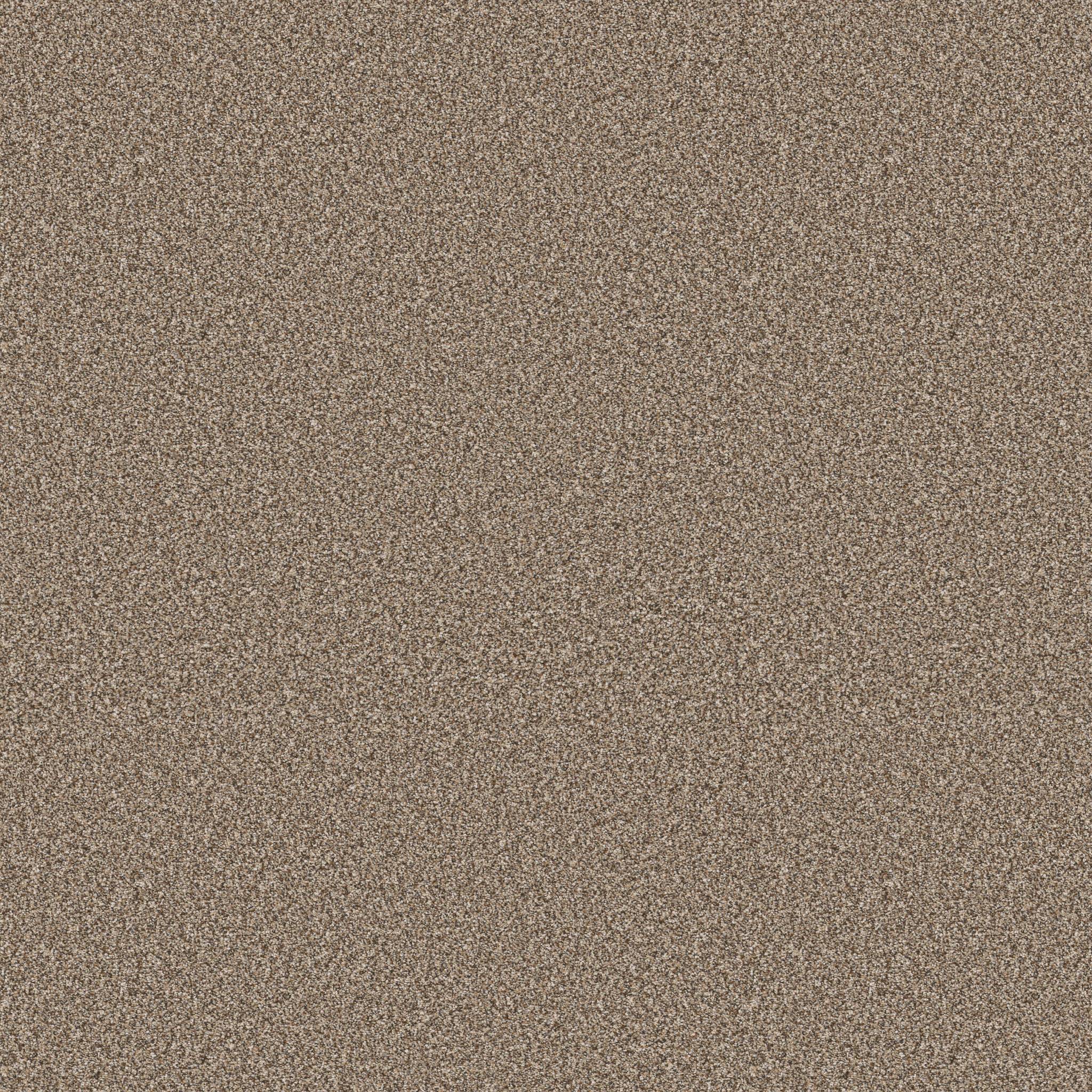 Pure Vision Carpet - Rodeo Zoomed Swatch Image