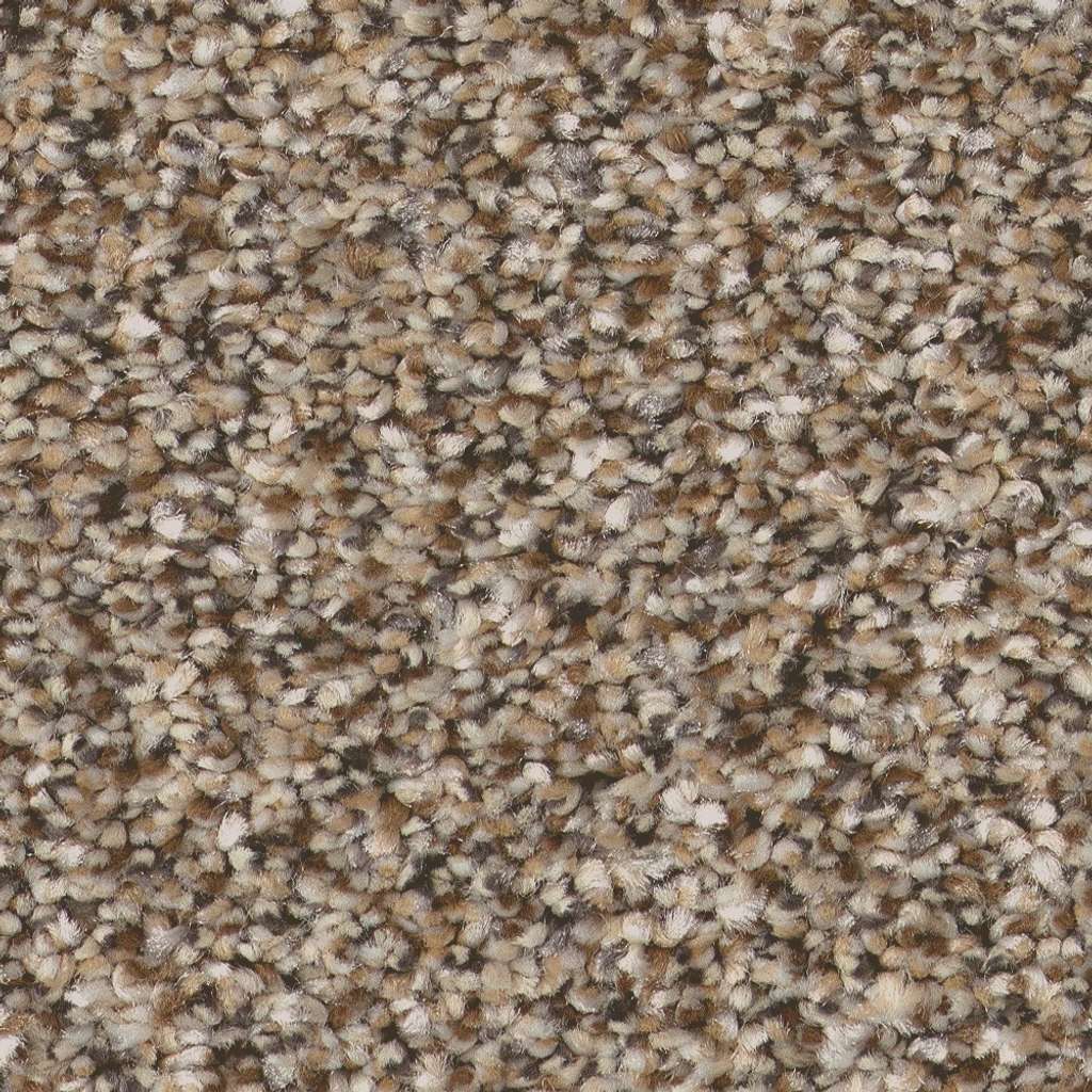 Pure Vision Carpet - Rodeo  Swatch Image 