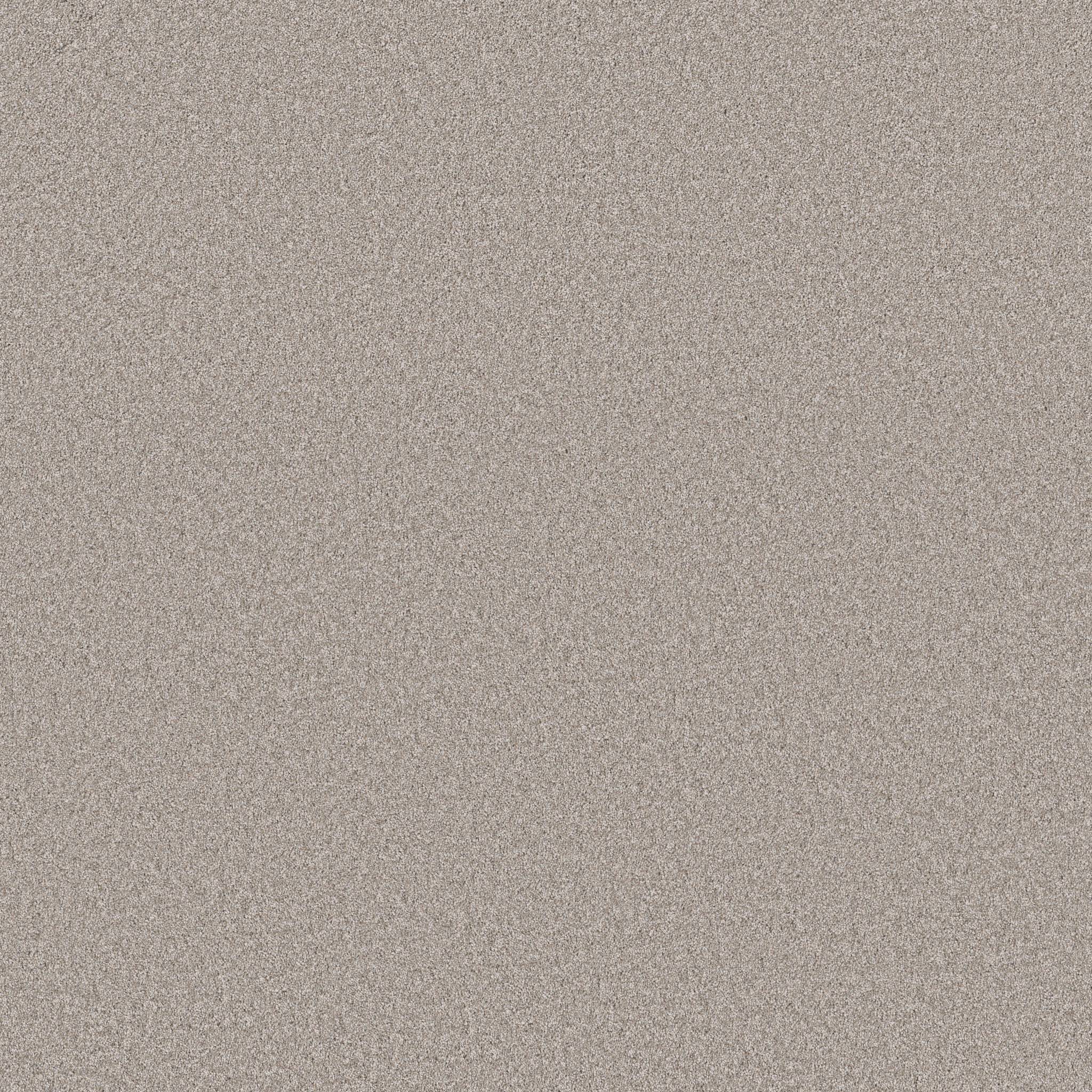 Good Play II Carpet - Great Greige Zoomed Swatch Image