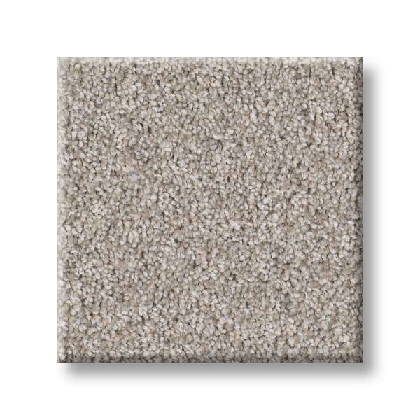 Style Good Play II Carpet - Great Greige Swatch