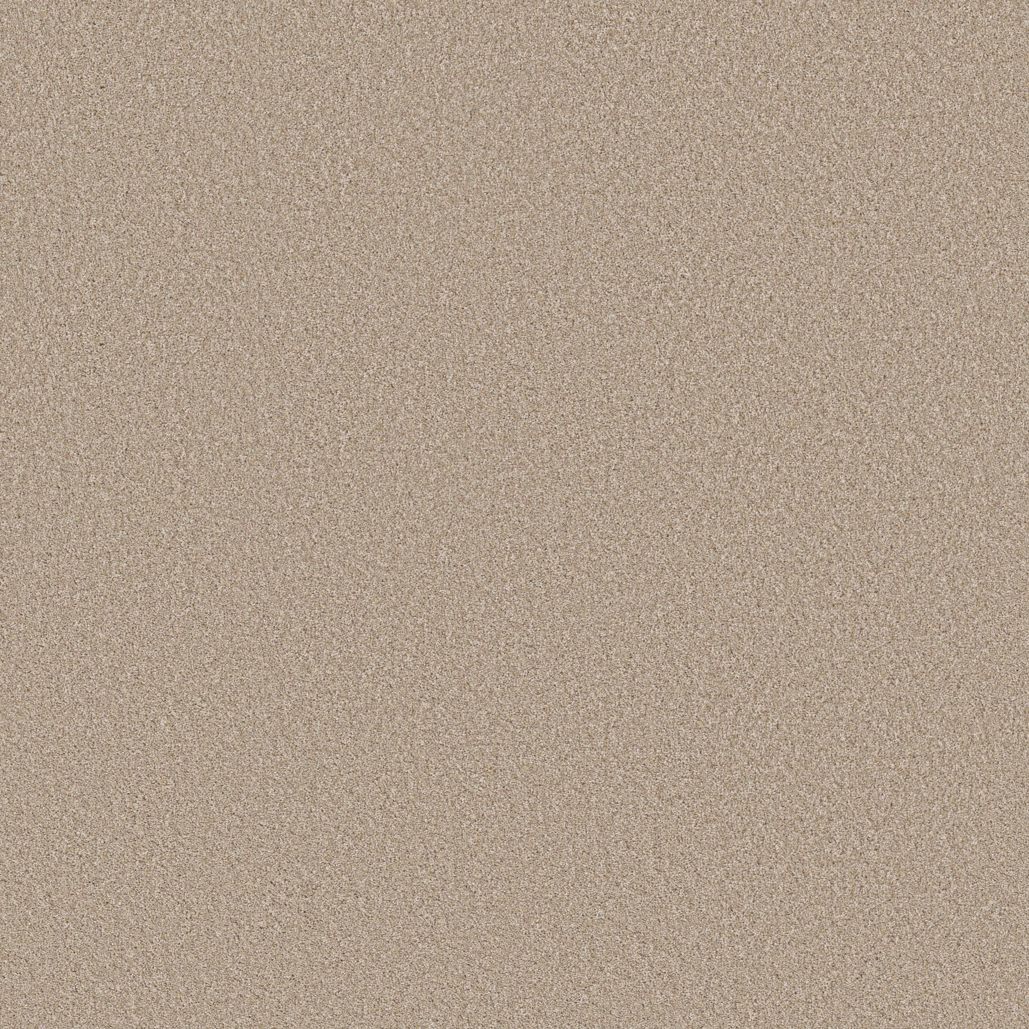 Good Play II Carpet - Latte Zoomed Swatch Image