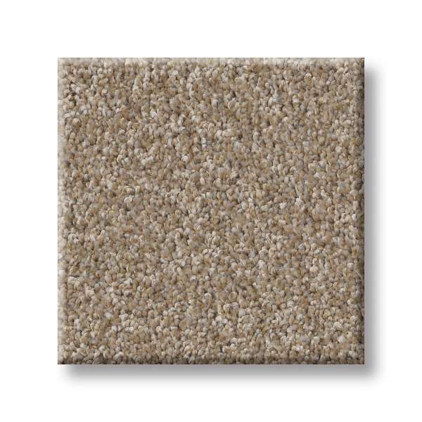 Style Good Play II Carpet - Raw Wood Swatch
