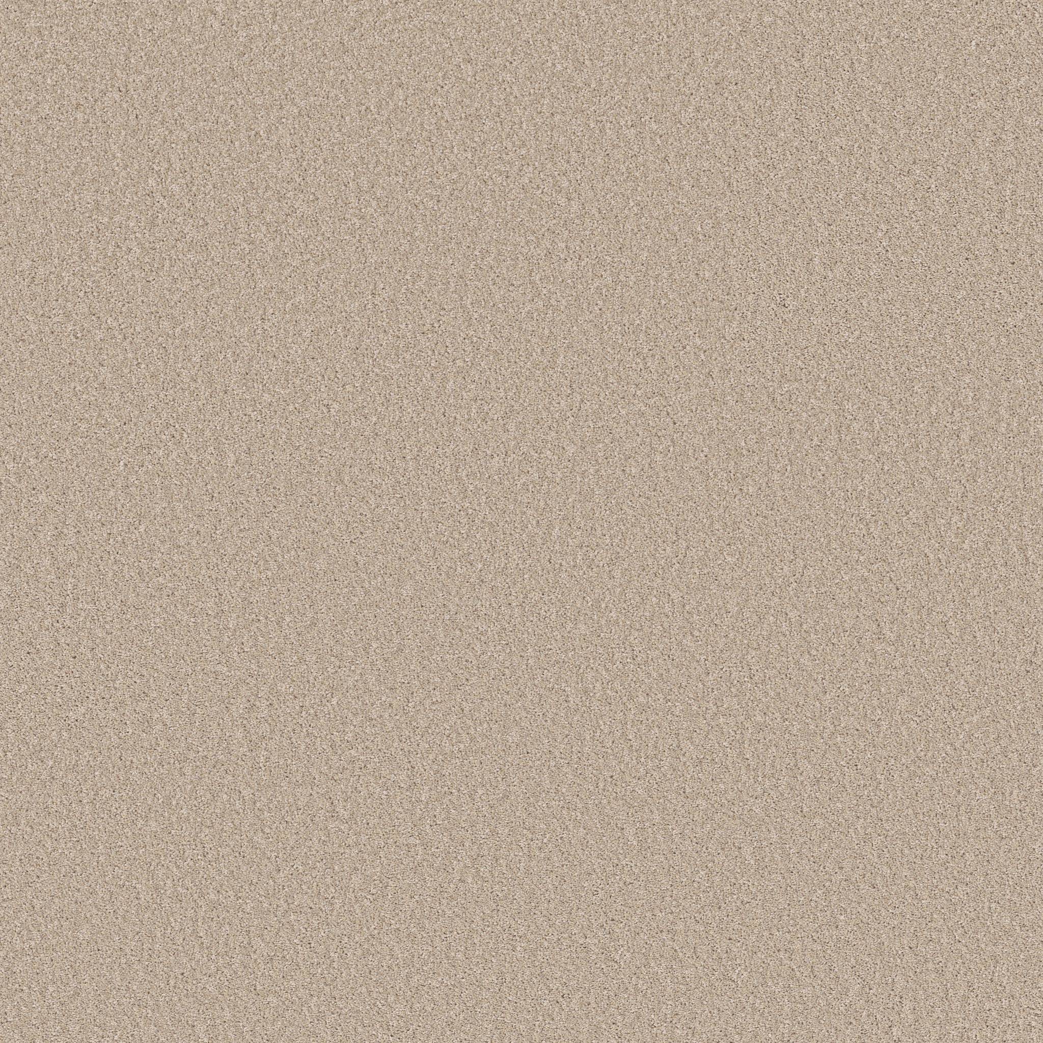 Good Play III Carpet - Dunes Zoomed Swatch Image
