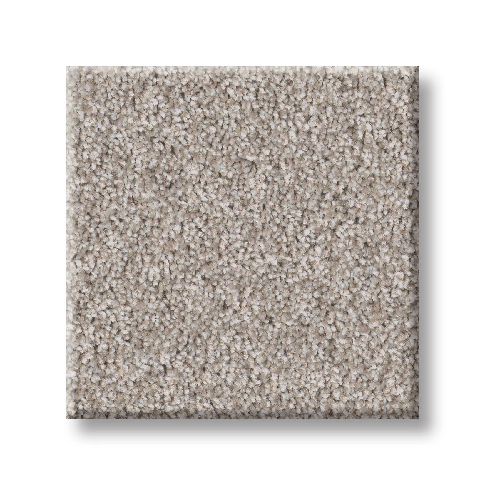 Good Play III Carpet - Great Greige Swatch Thumbnail pupop1