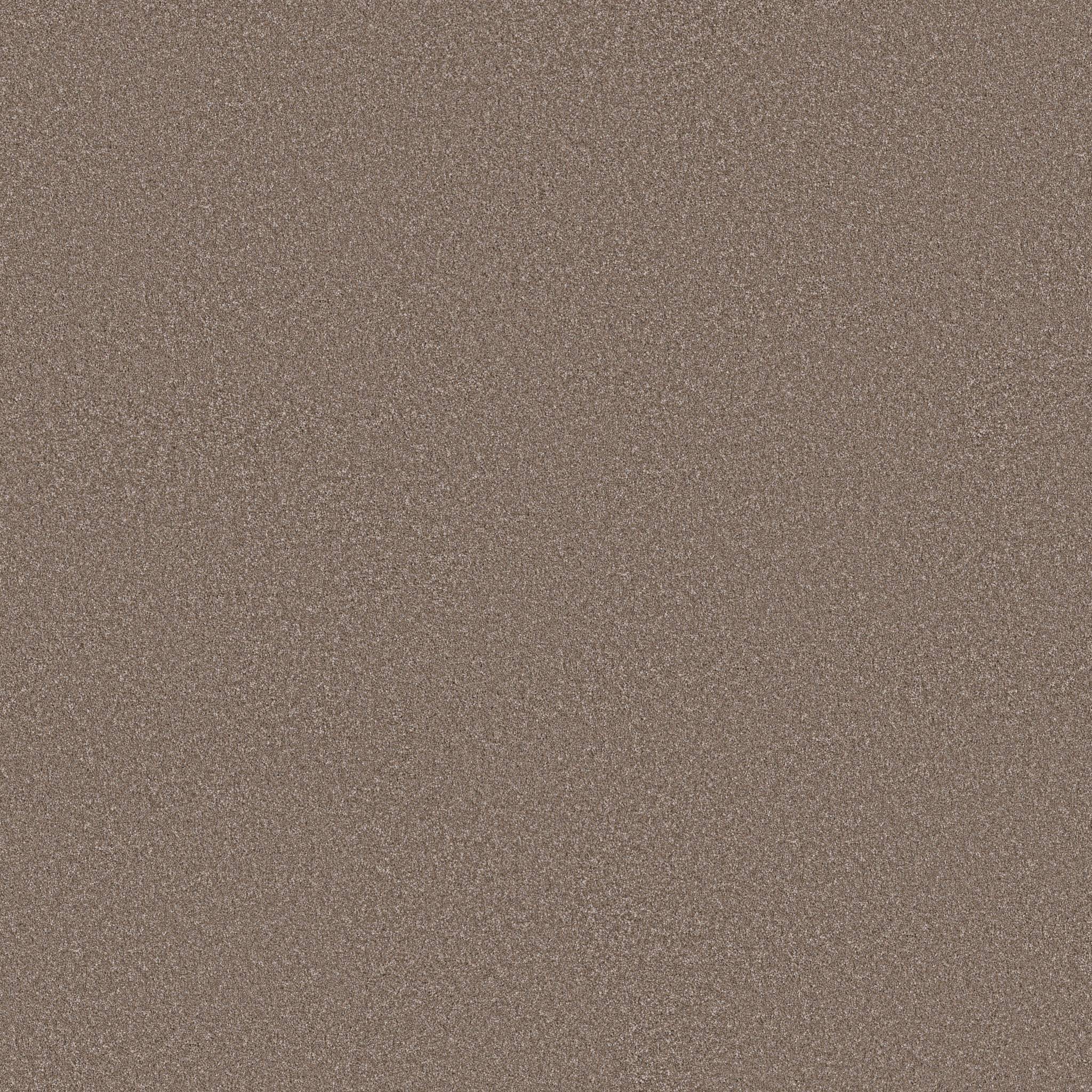 Good Play III Carpet - Weathered Zoomed Swatch Image
