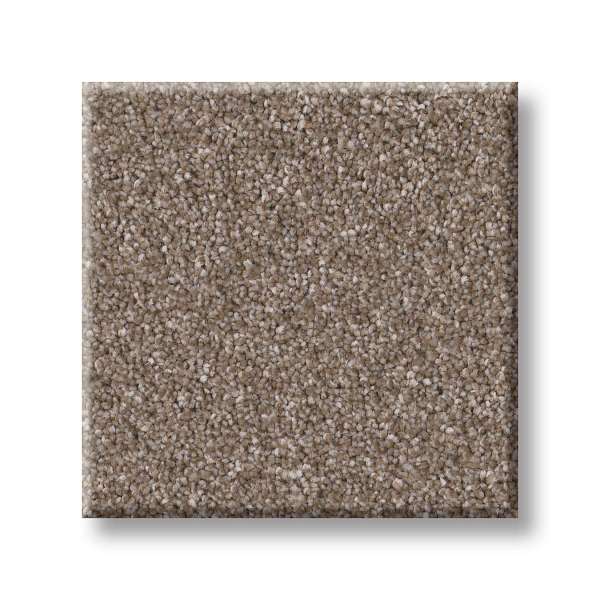 Style Good Play III Carpet - Weathered Swatch