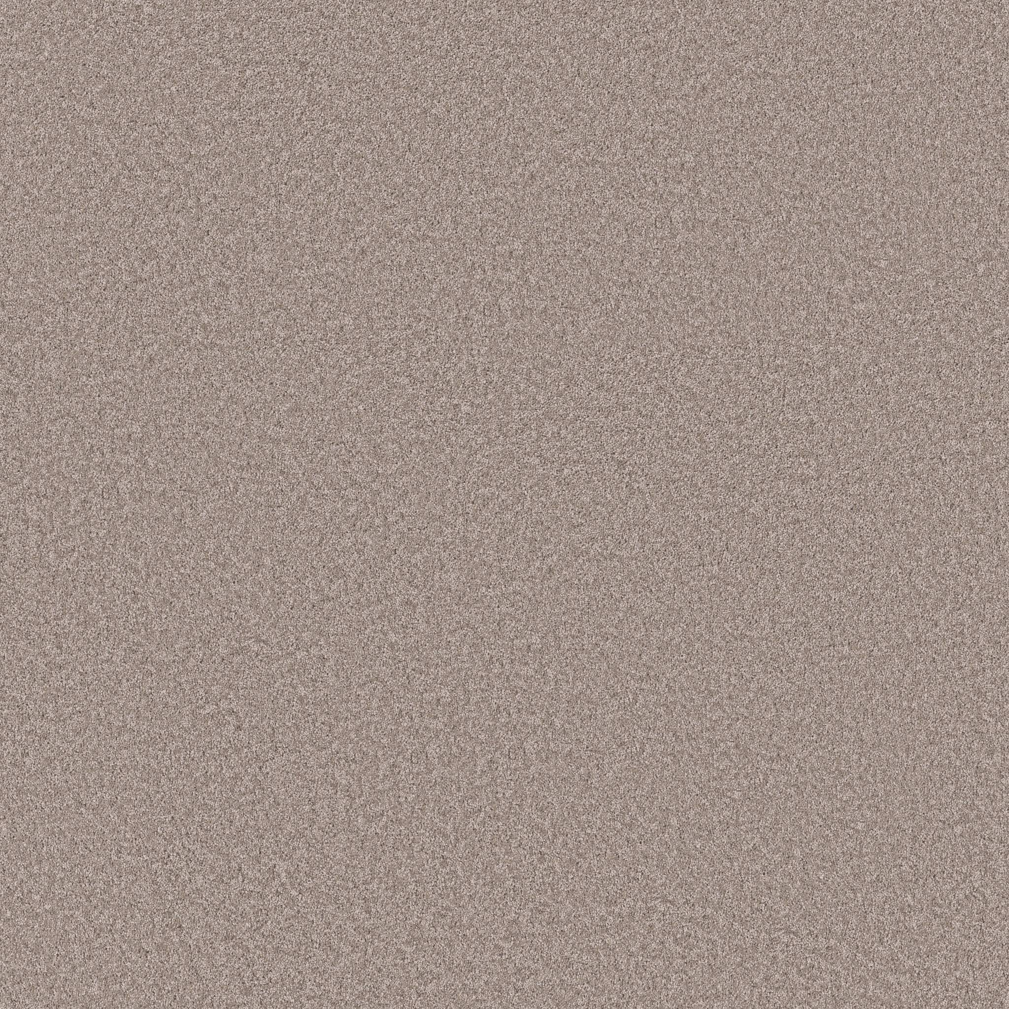 Good Play III Carpet - Misty Harbor Zoomed Swatch Image