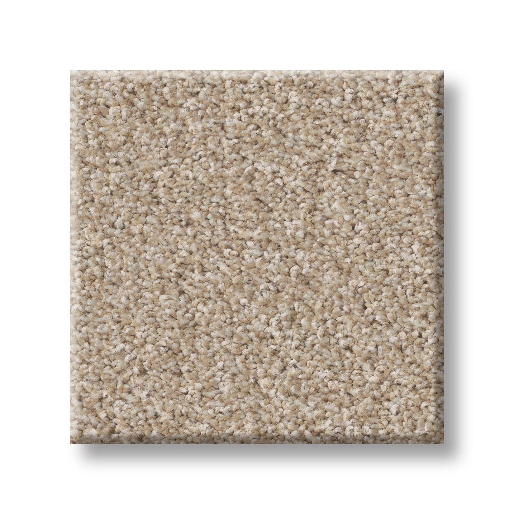 Good Play III Carpet - Latte Swatch Thumbnail pupop1