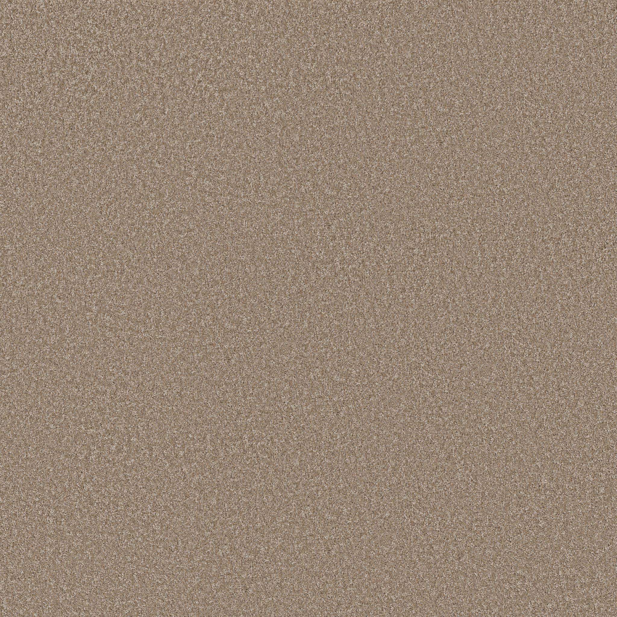 Good Play III Carpet - Raw Wood Zoomed Swatch Image