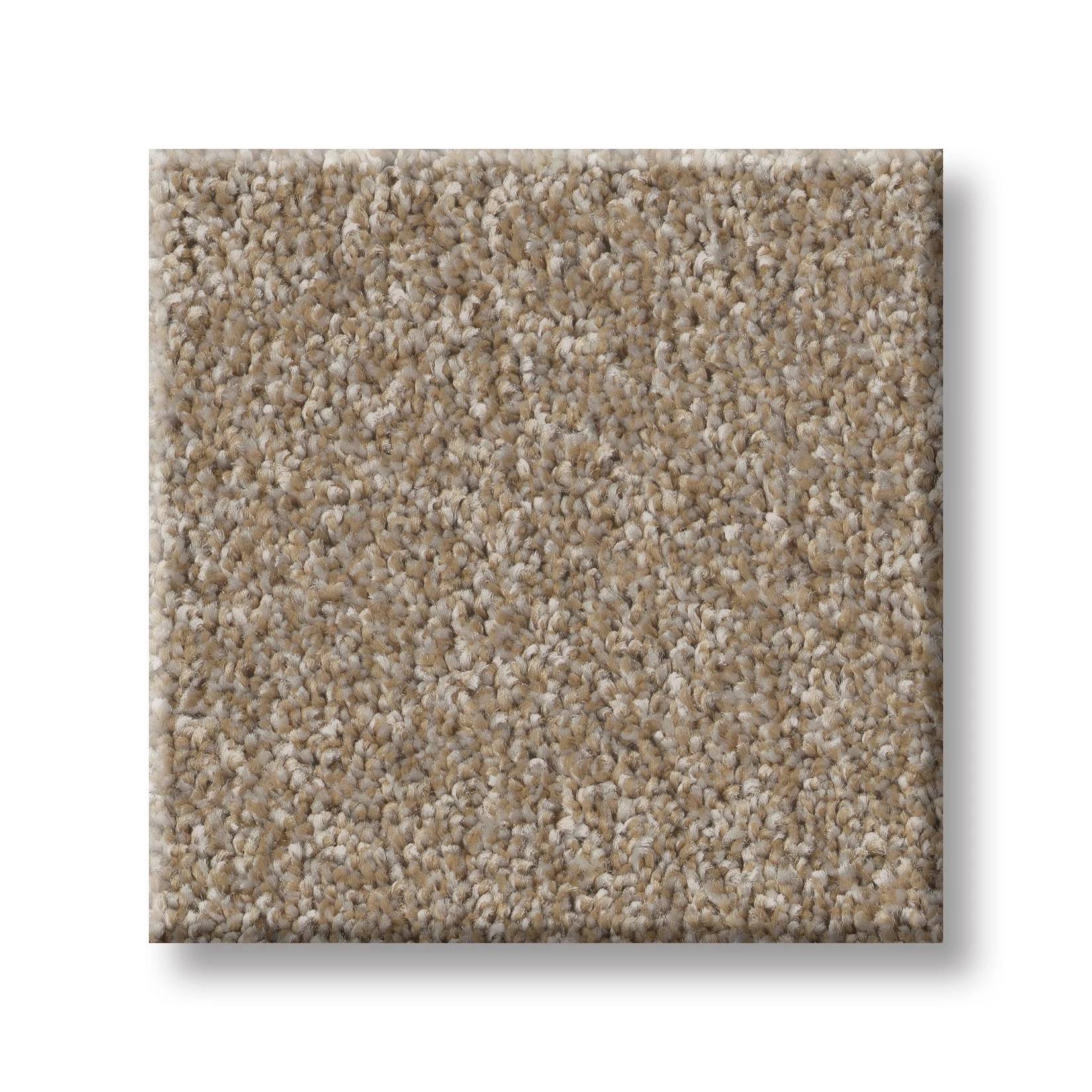 Good Play III Carpet - Raw Wood Swatch Thumbnail pupop1