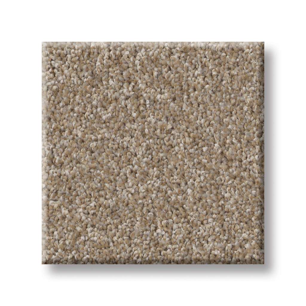 Good Play III Carpet - Raw Wood  Swatch Image 