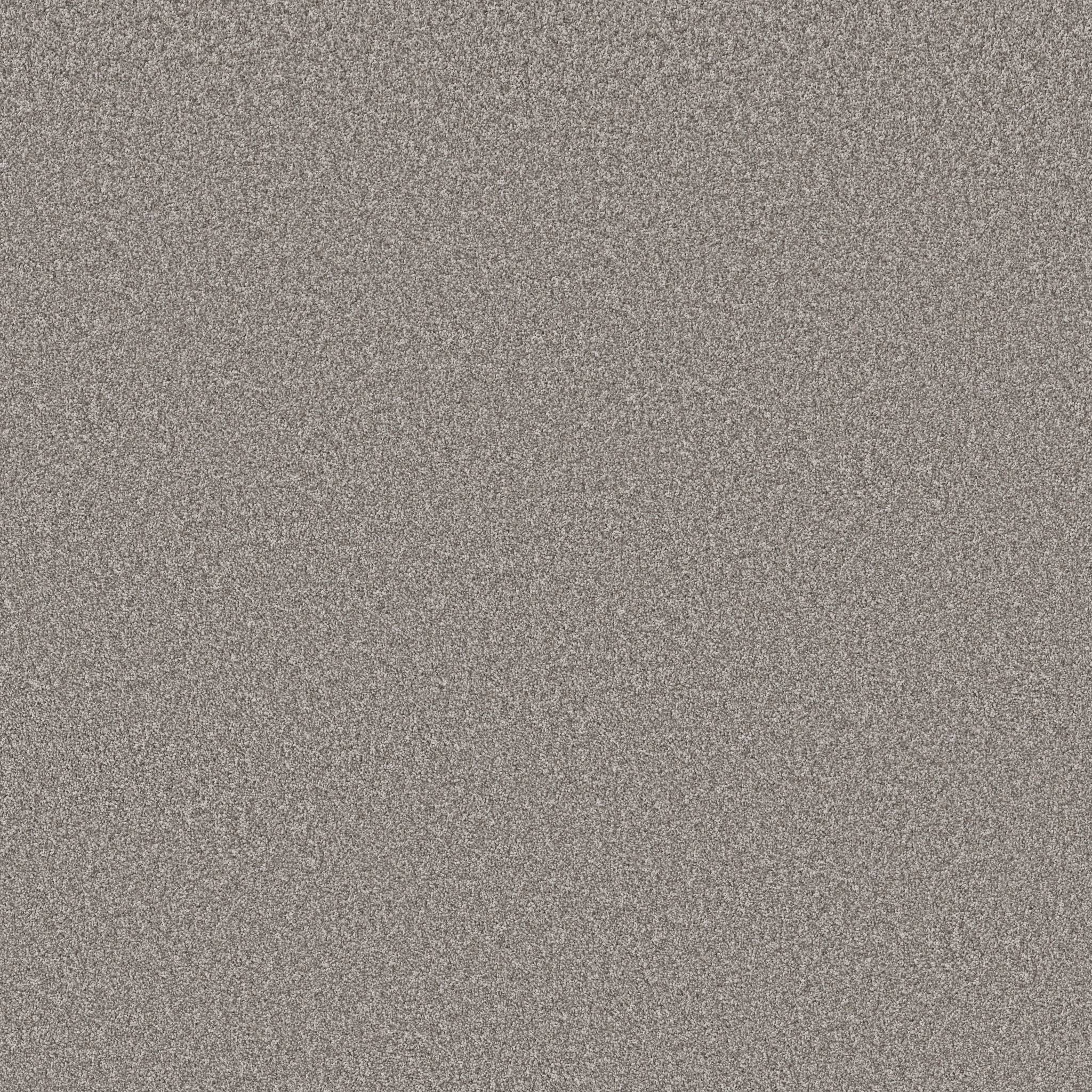 Good Play III Carpet - Stone Path Zoomed Swatch Image