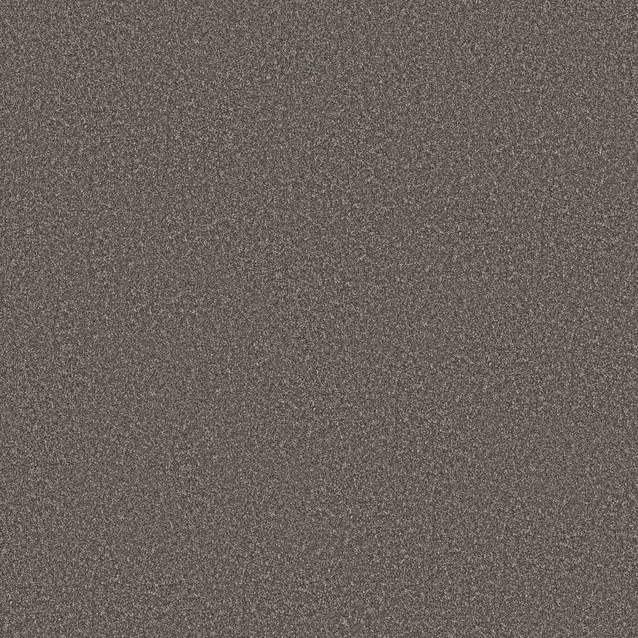 Good Play III Carpet - Sparrow Zoomed Swatch Image