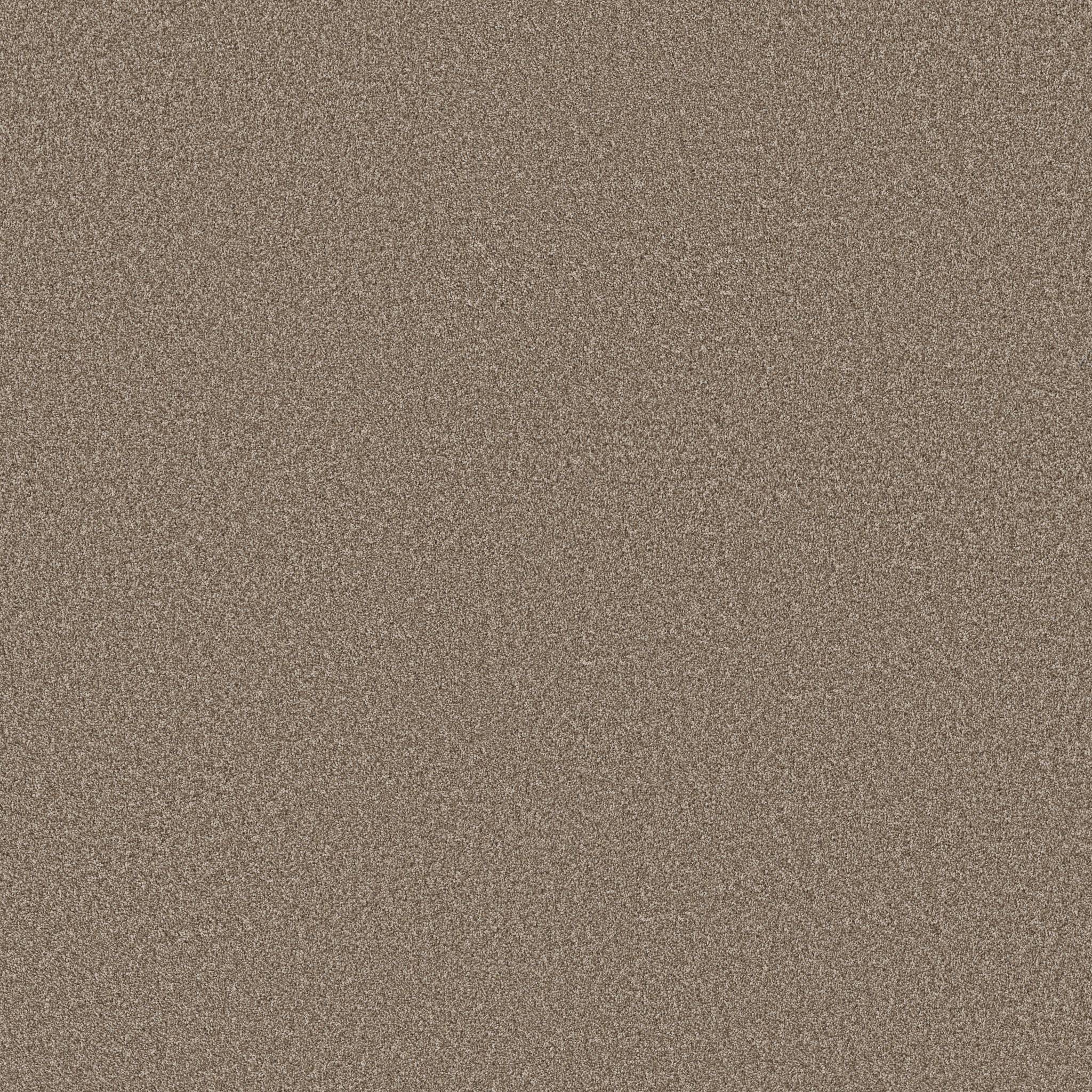 Good Play III Carpet - Clay Zoomed Swatch Image